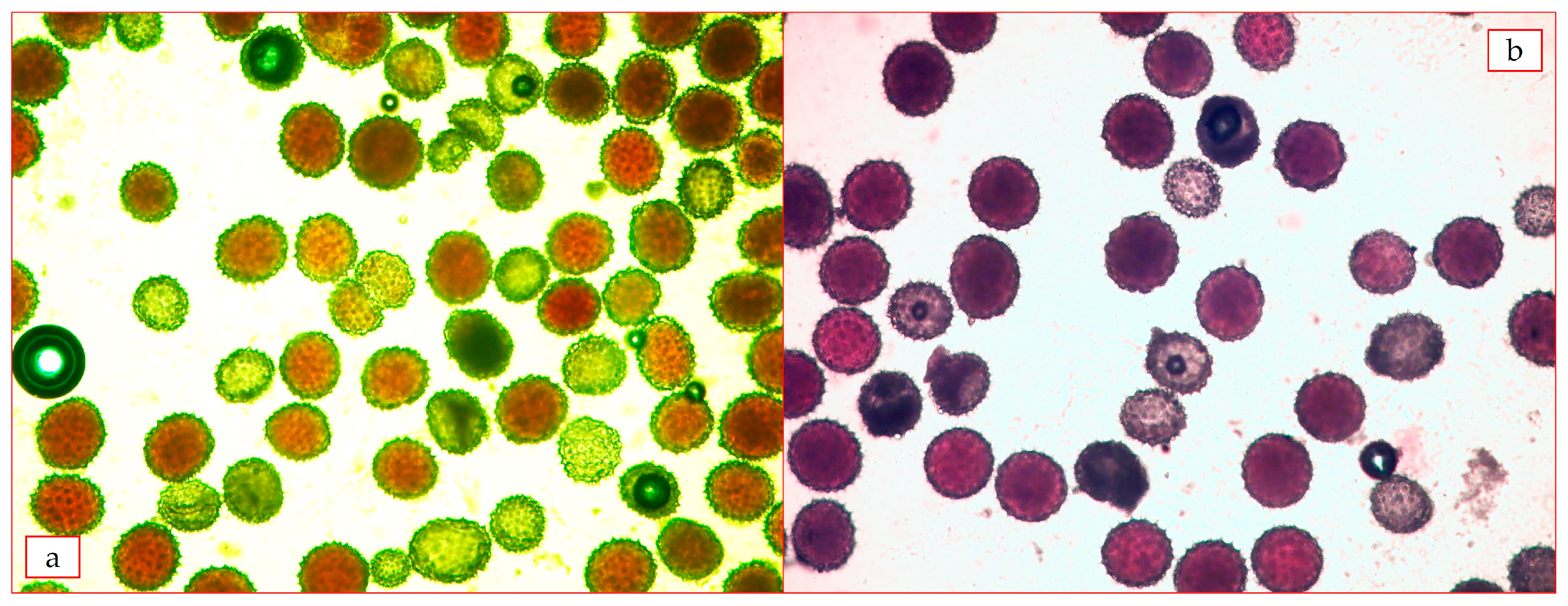 Plants 12 04184 g006