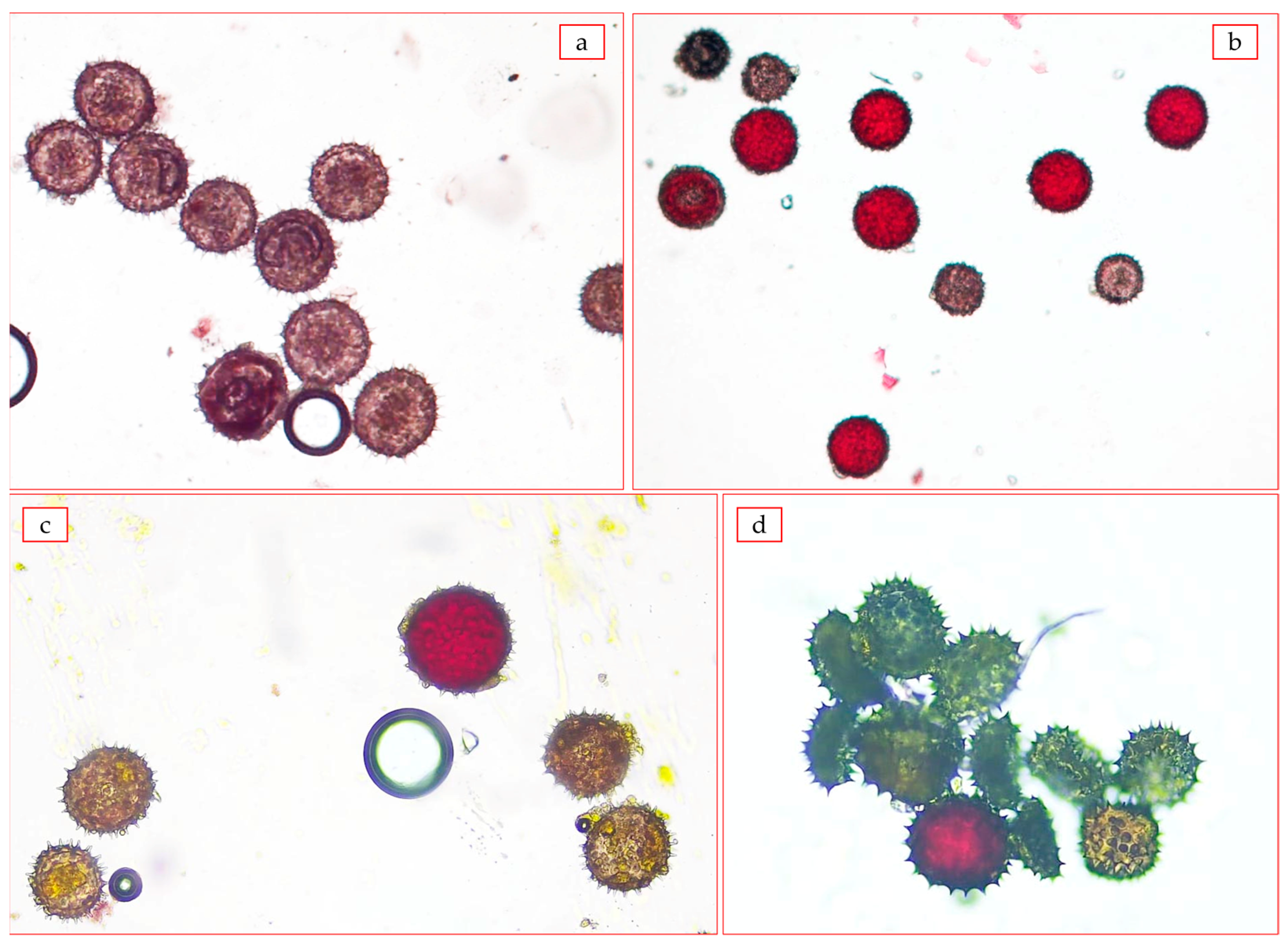 Plants 12 04184 g007