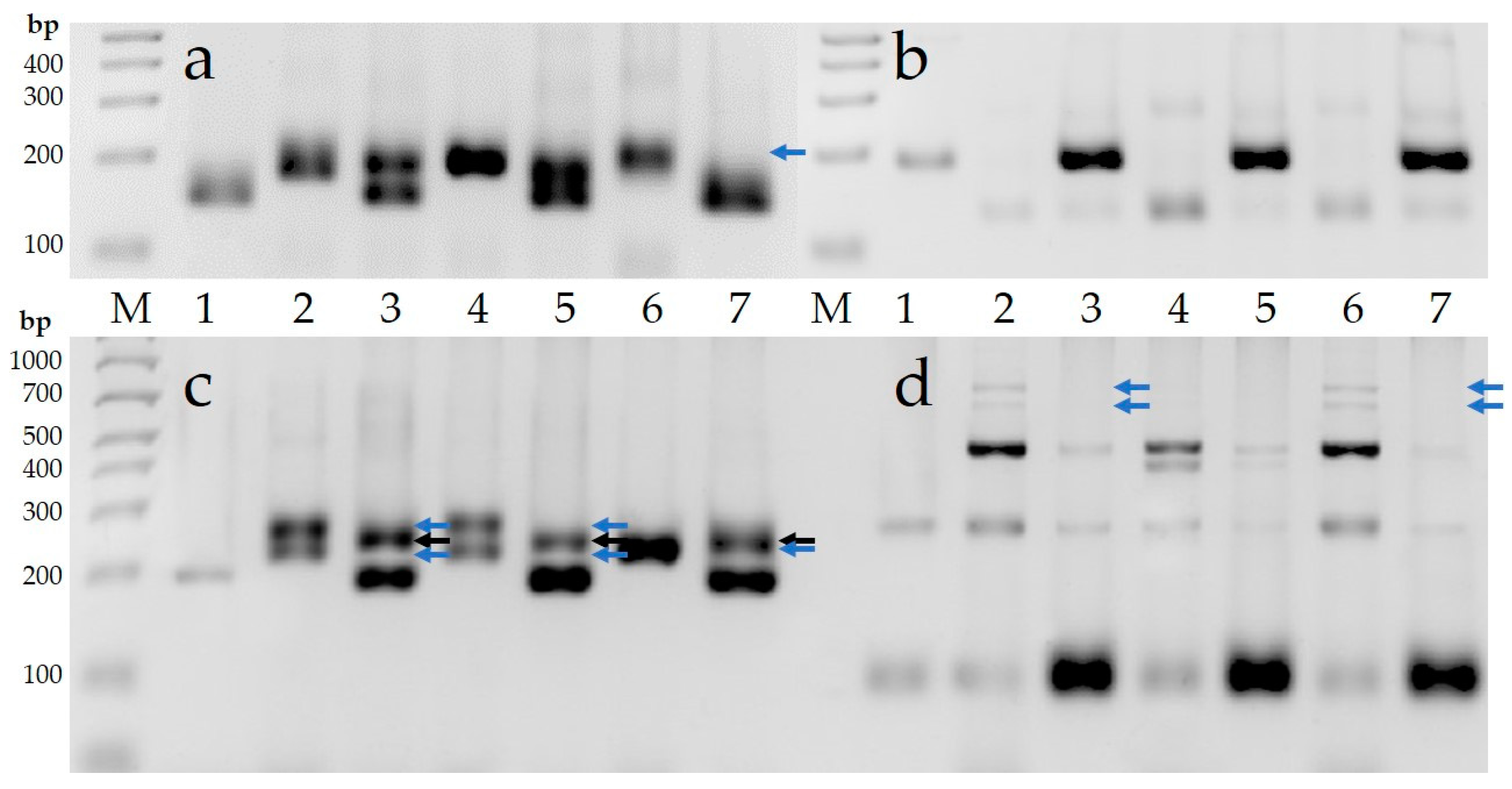 Plants 12 04184 g008