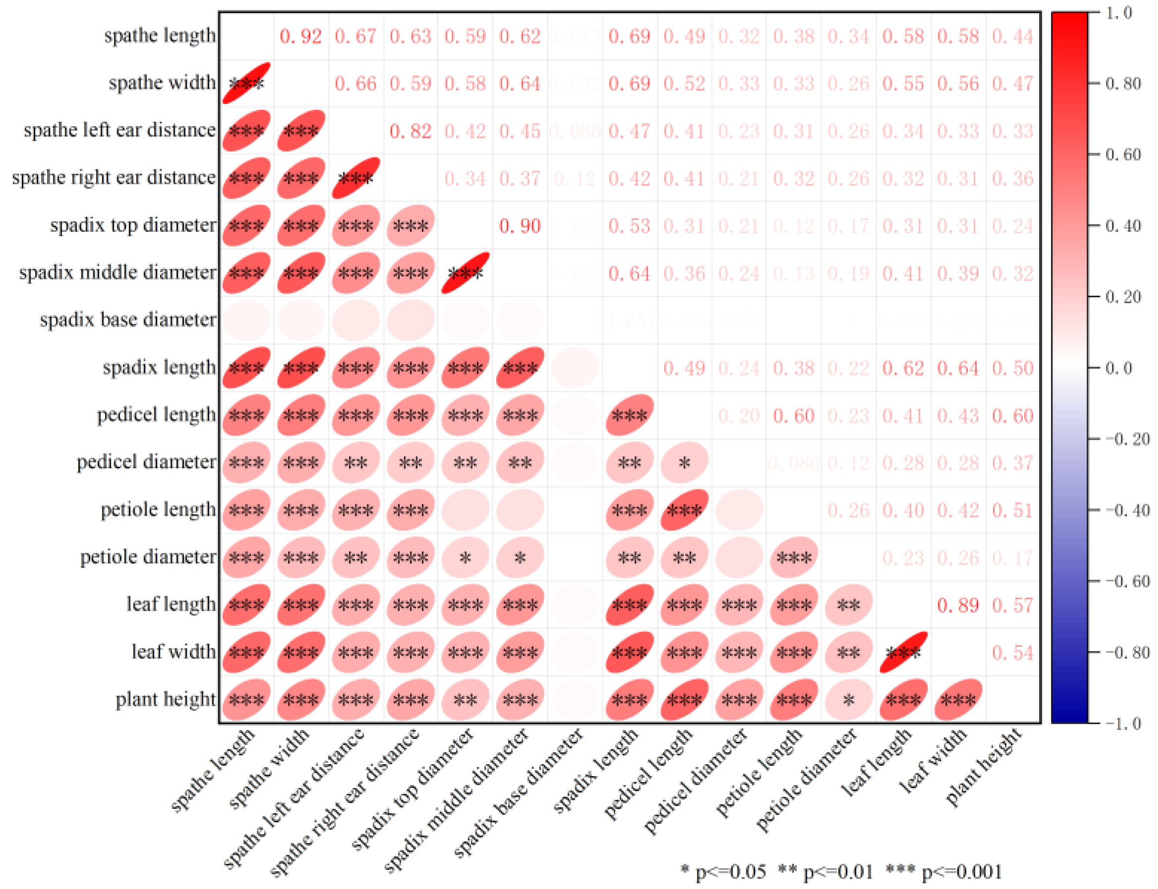 Plants 12 04185 g002 Plants 12 04185 g002