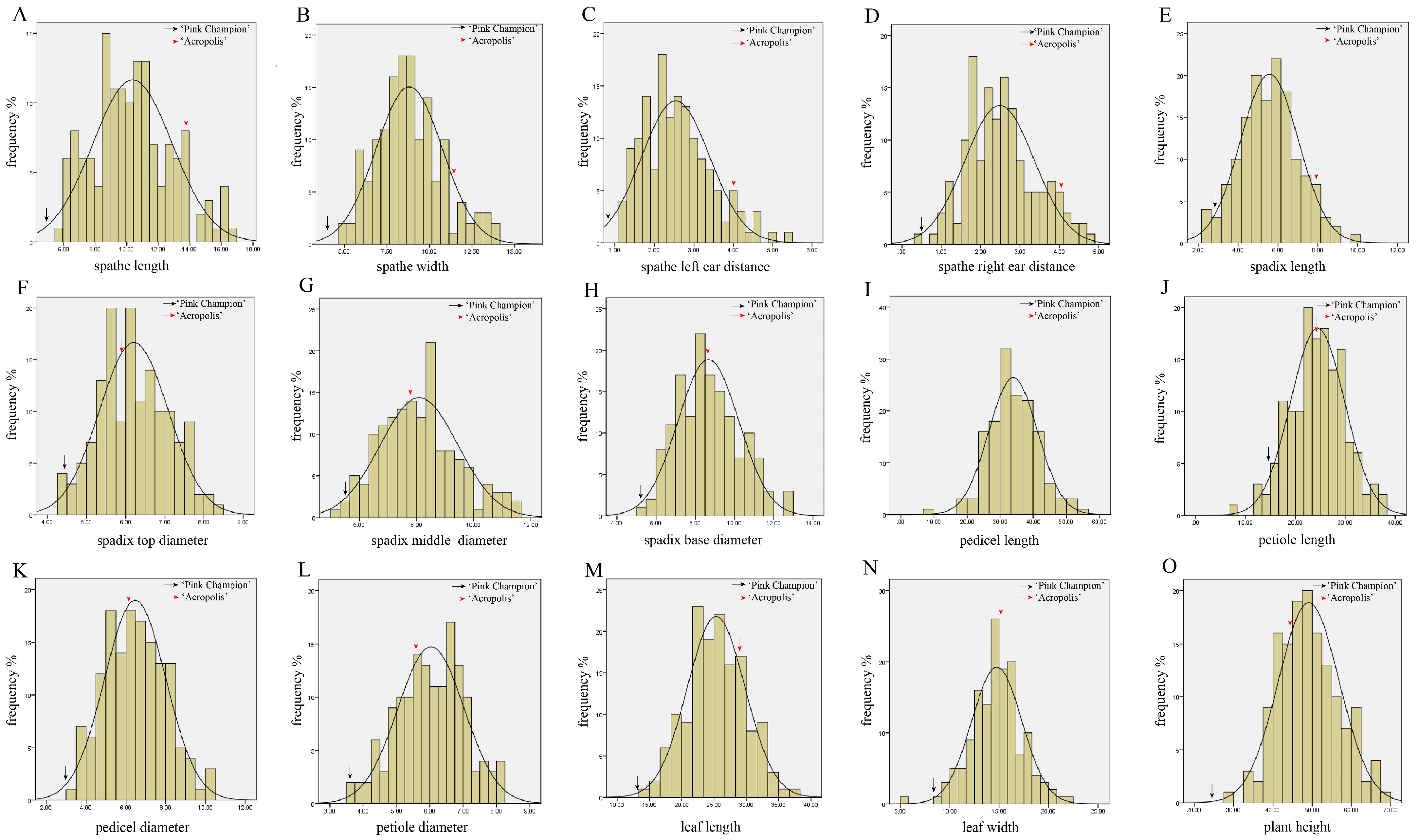 Plants 12 04185 g003 Plants 12 04185 g003