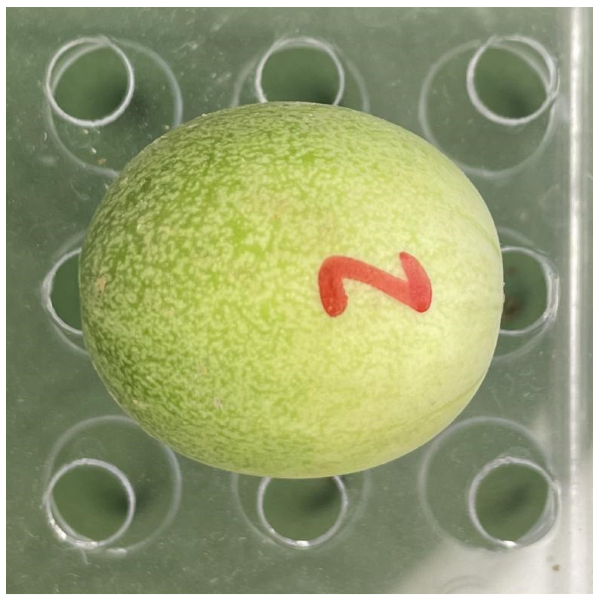 Plants 12 04186 g002