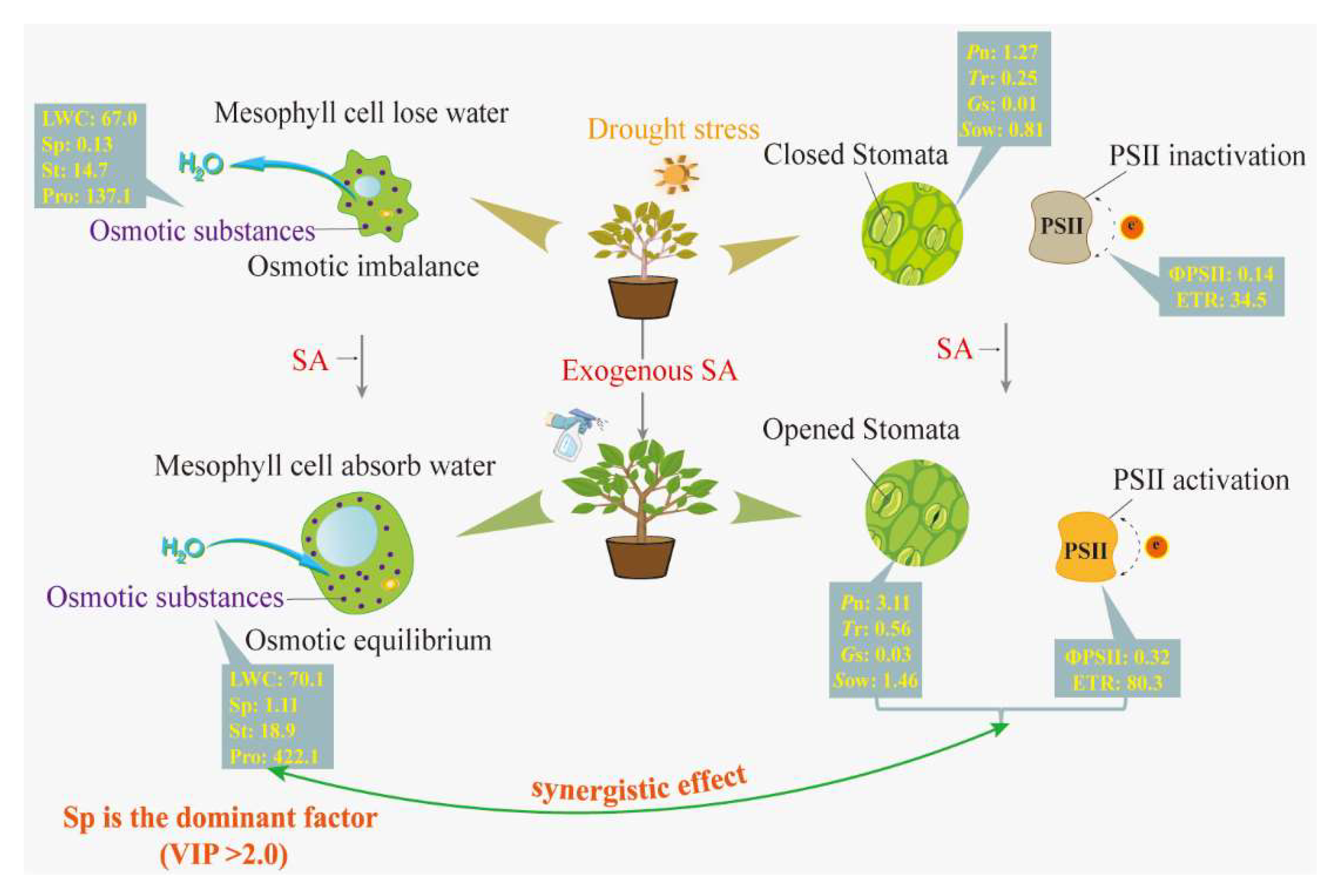 Plants 12 04187 g008