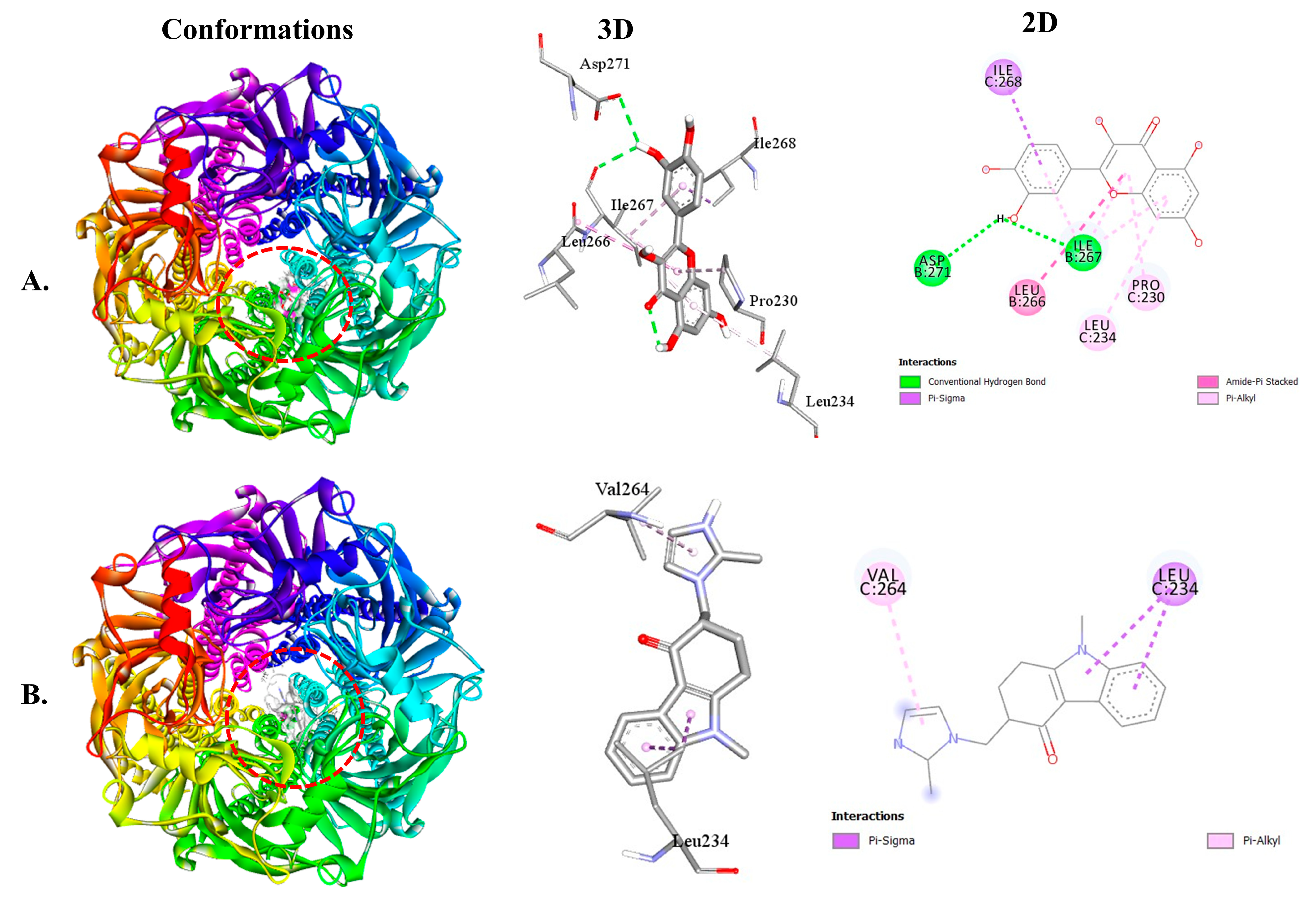 Plants 12 04189 g004