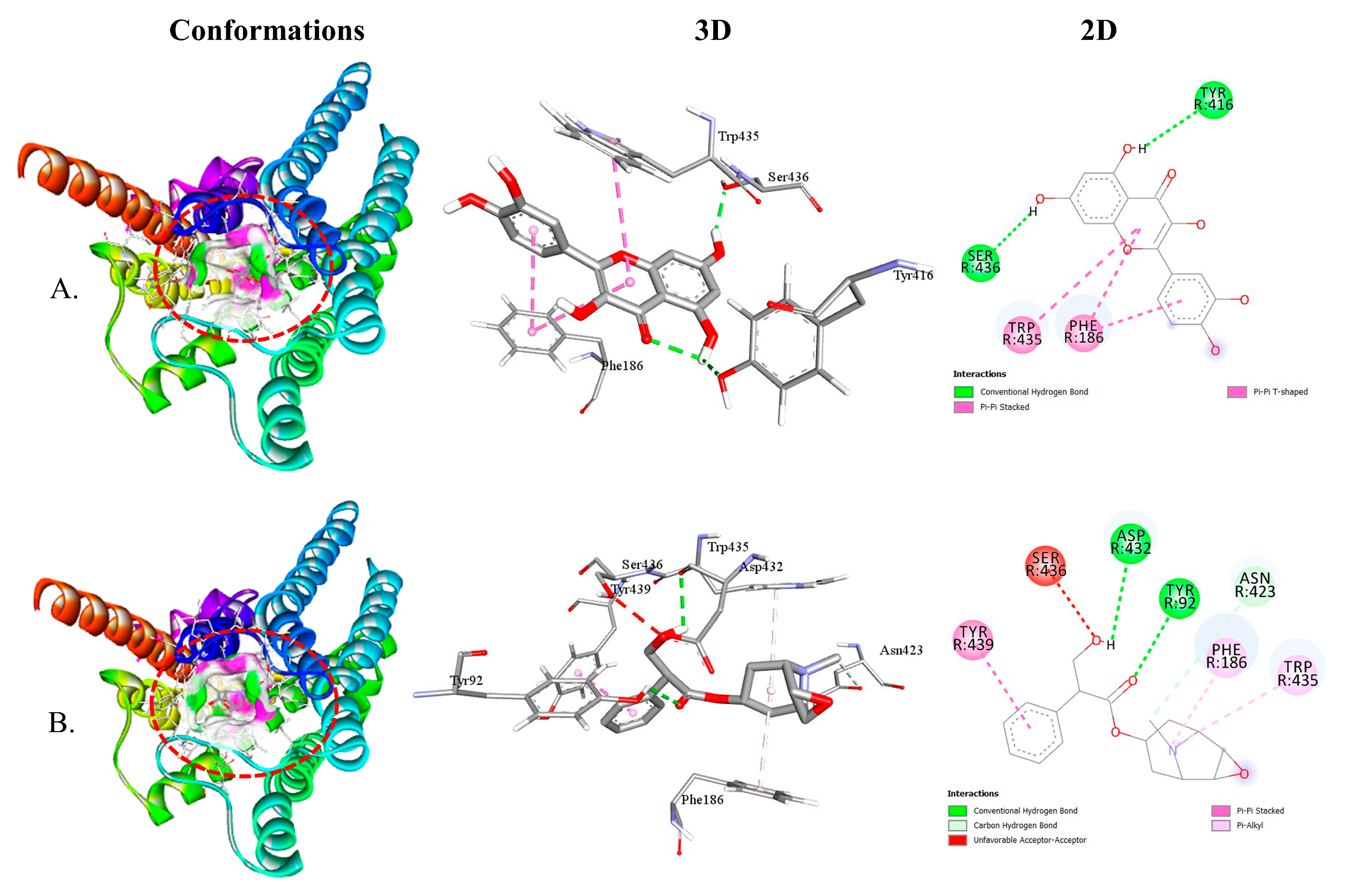 Plants 12 04189 g005