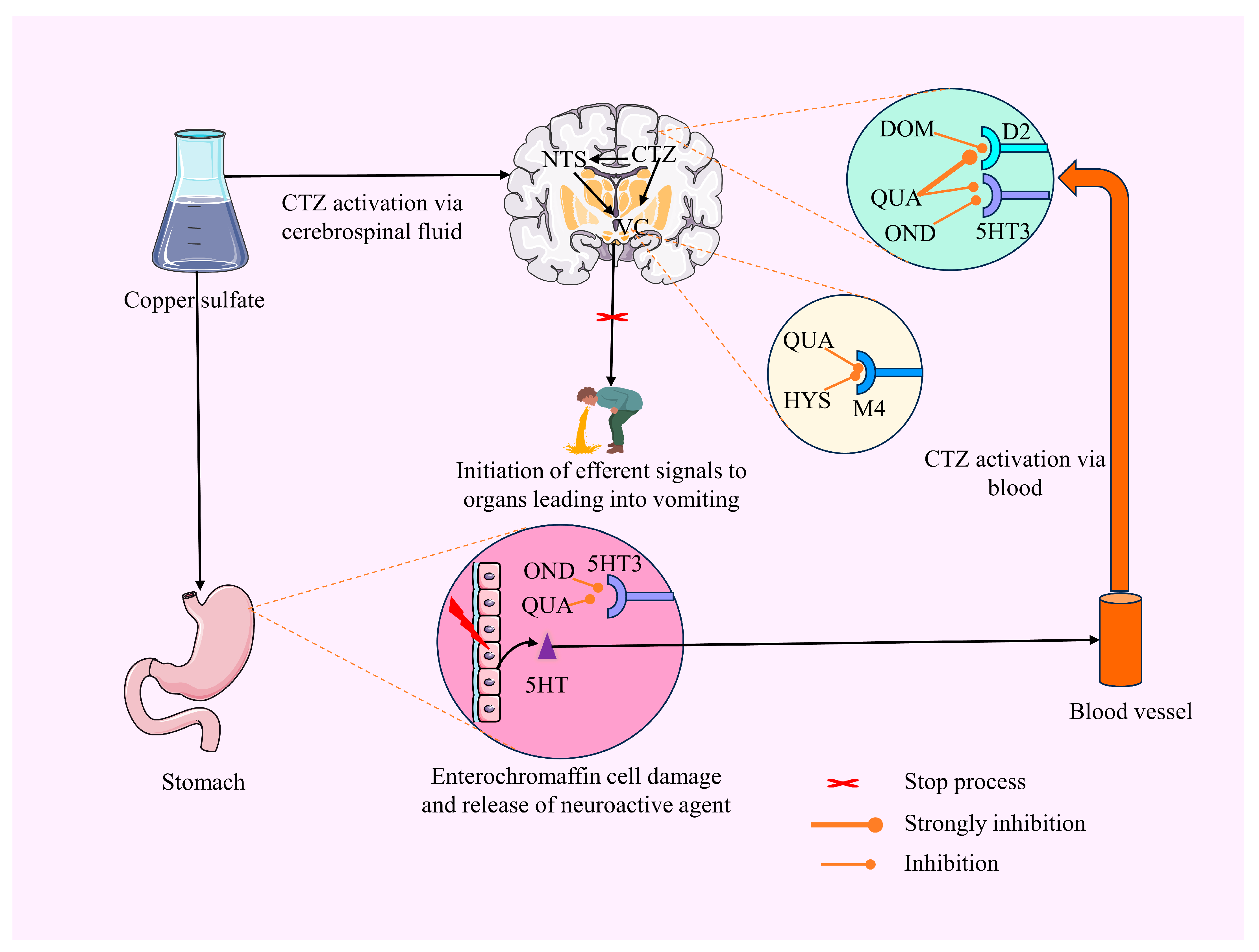 Plants 12 04189 g006