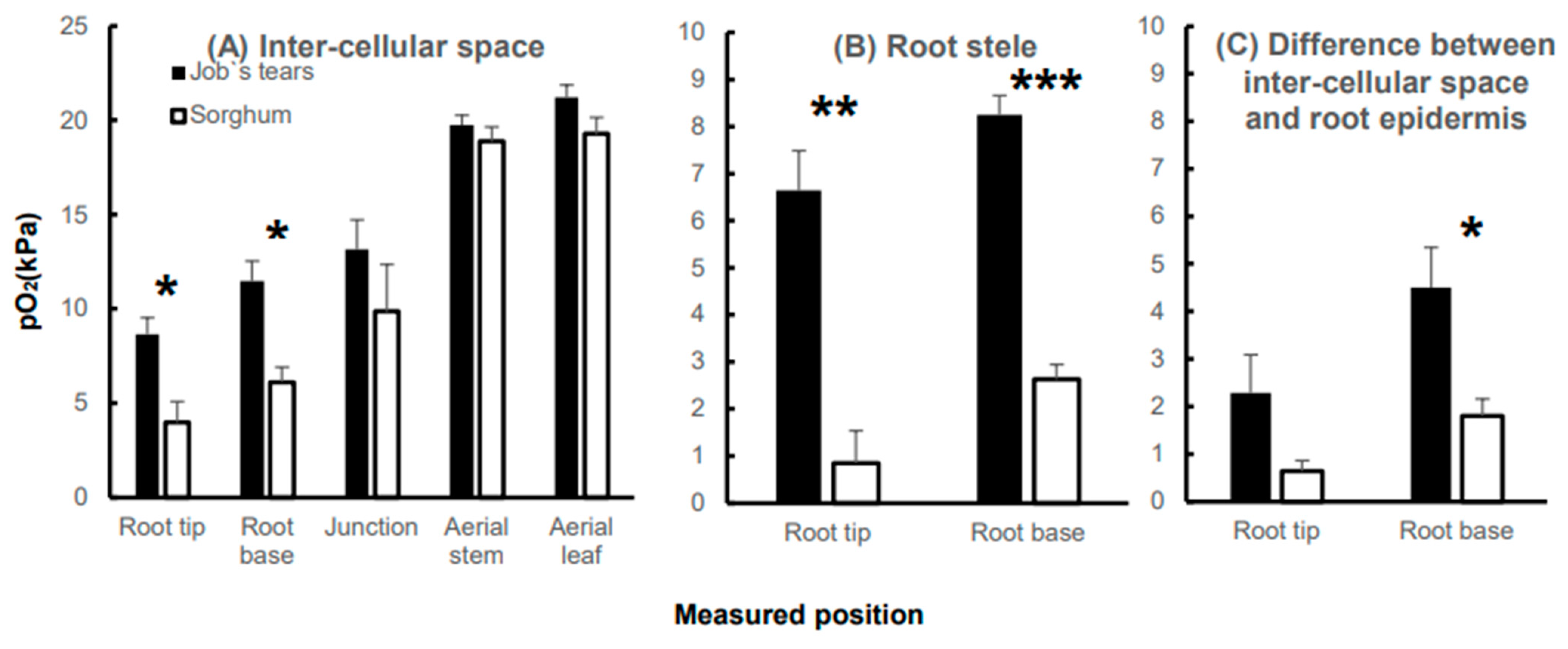 Plants 13 00003 g002 Plants 13 00003 g002