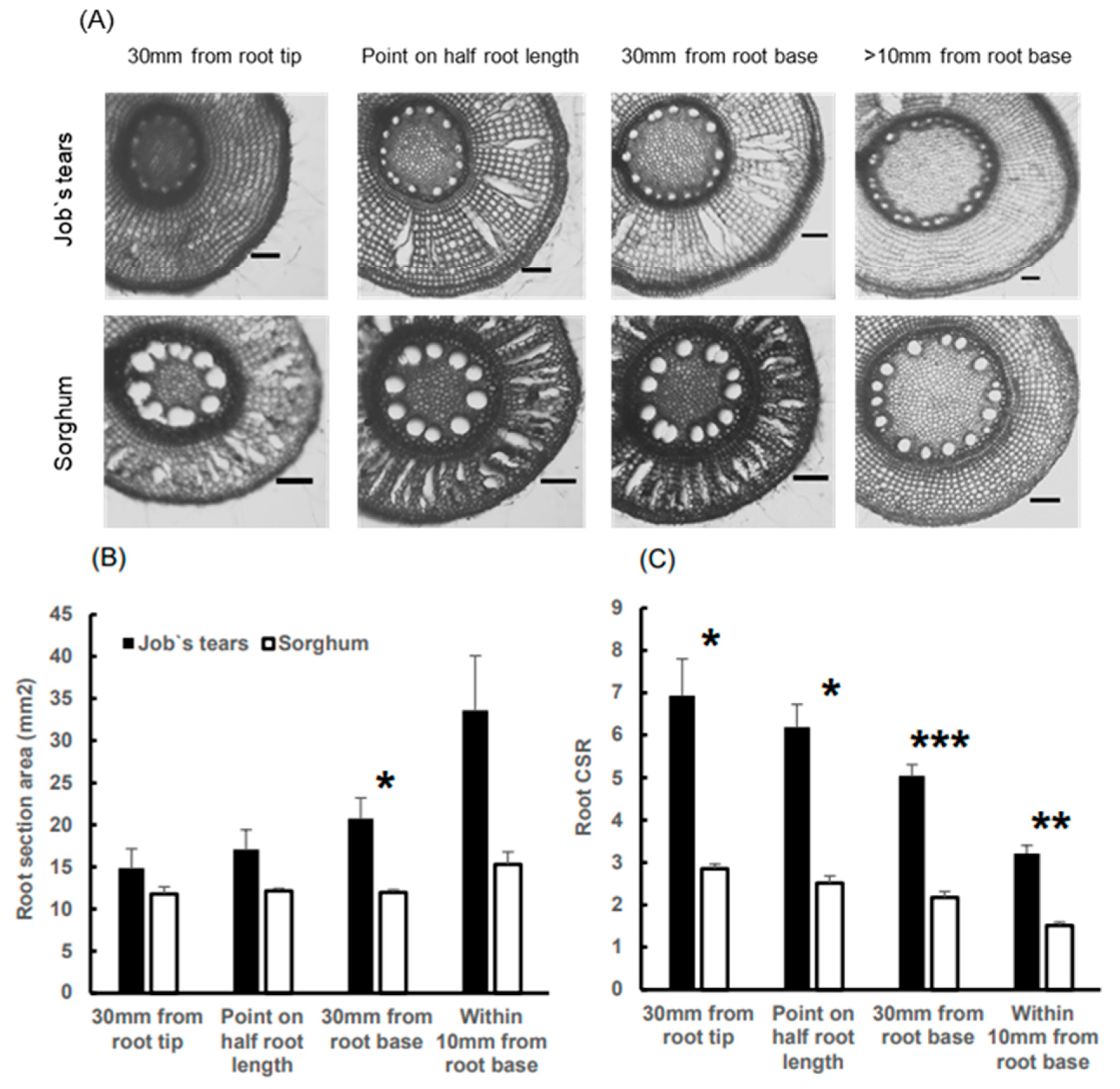 Plants 13 00003 g003 Plants 13 00003 g003