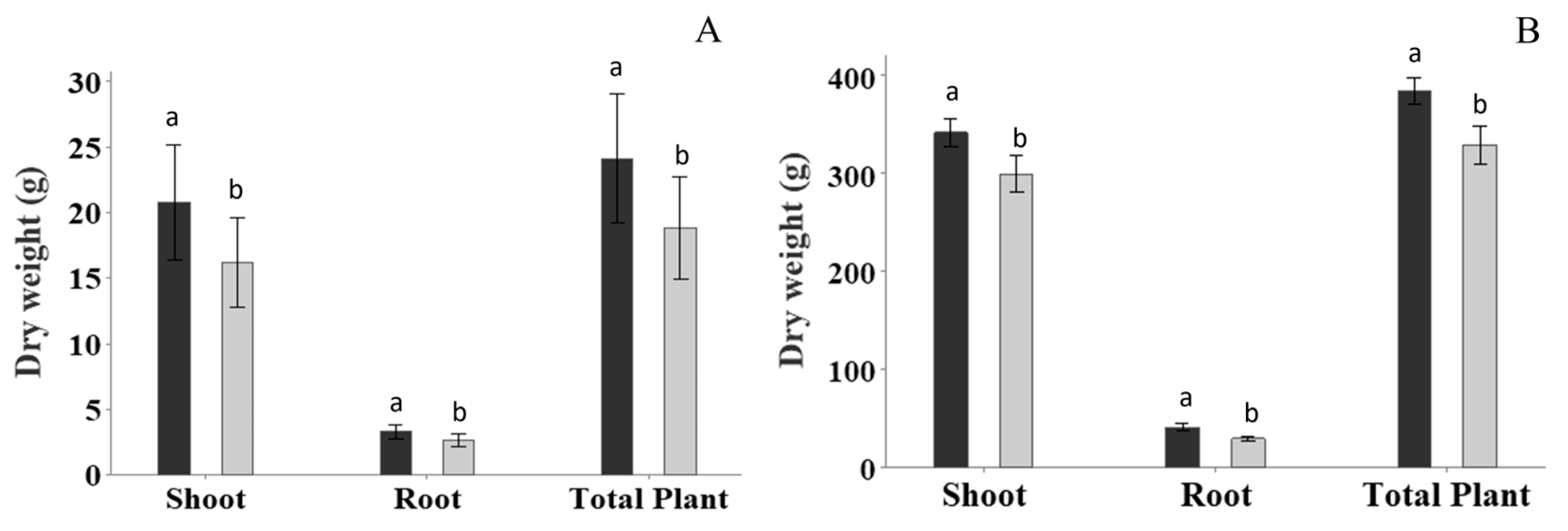 Plants 13 00004 g003
