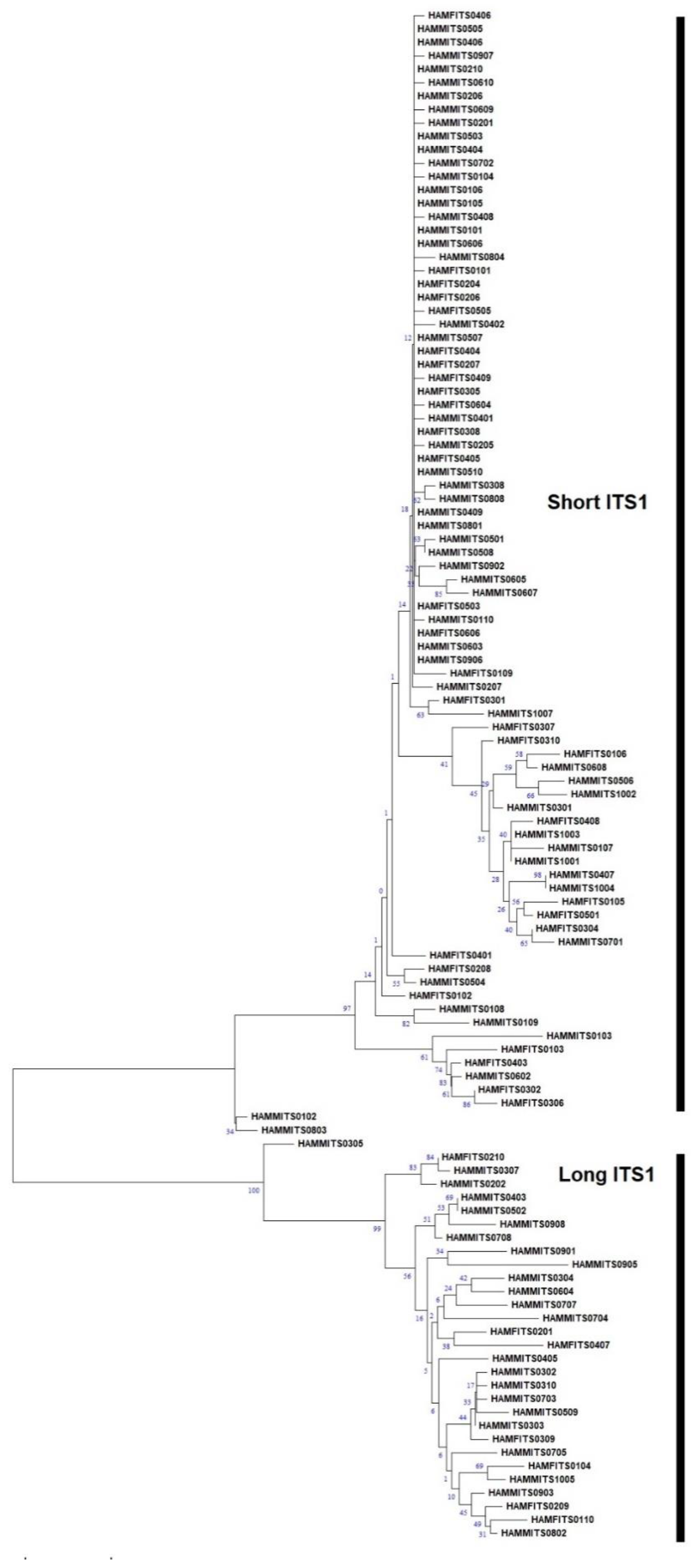 Plants 13 00005 g002