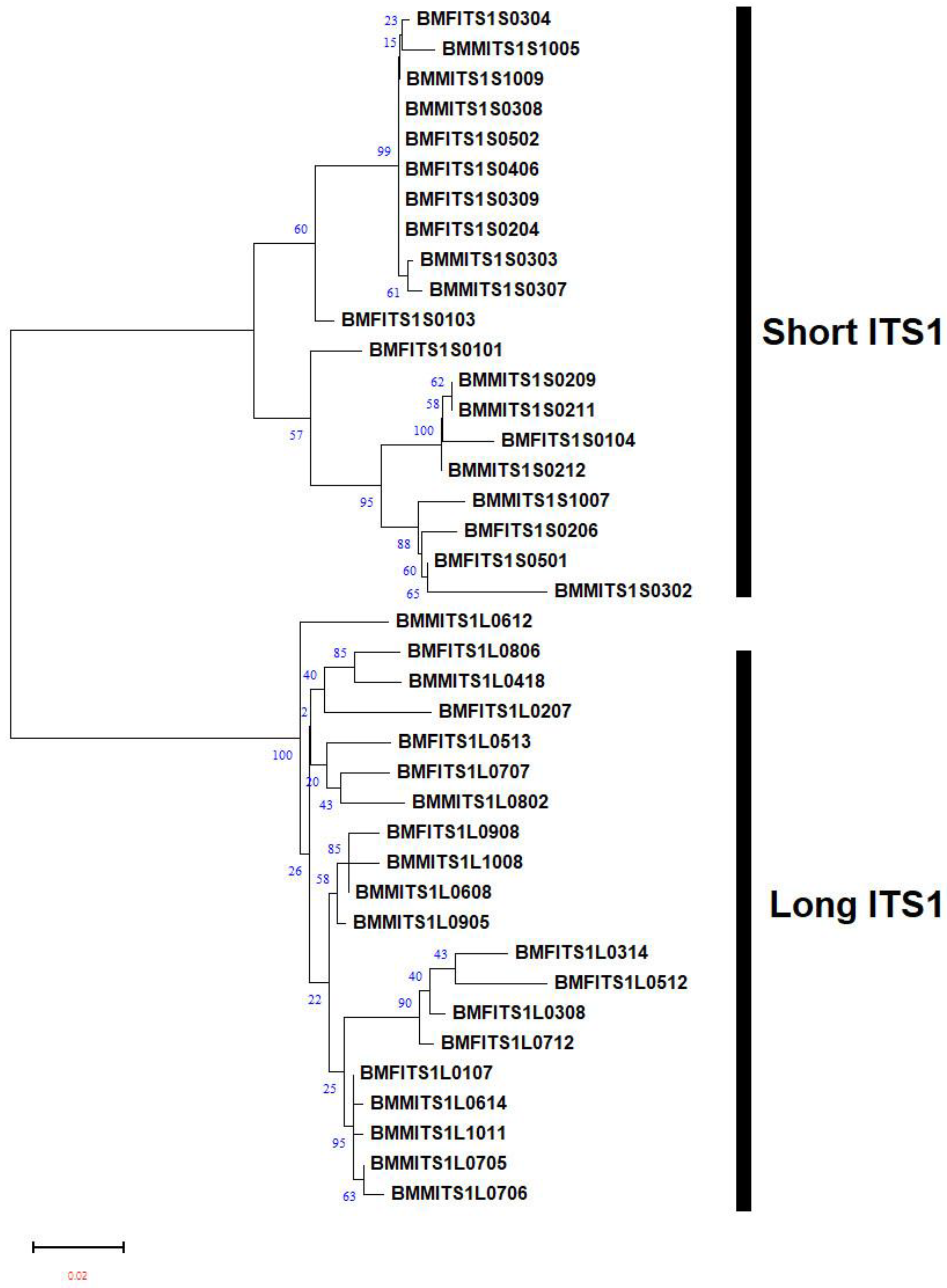 Plants 13 00005 g003