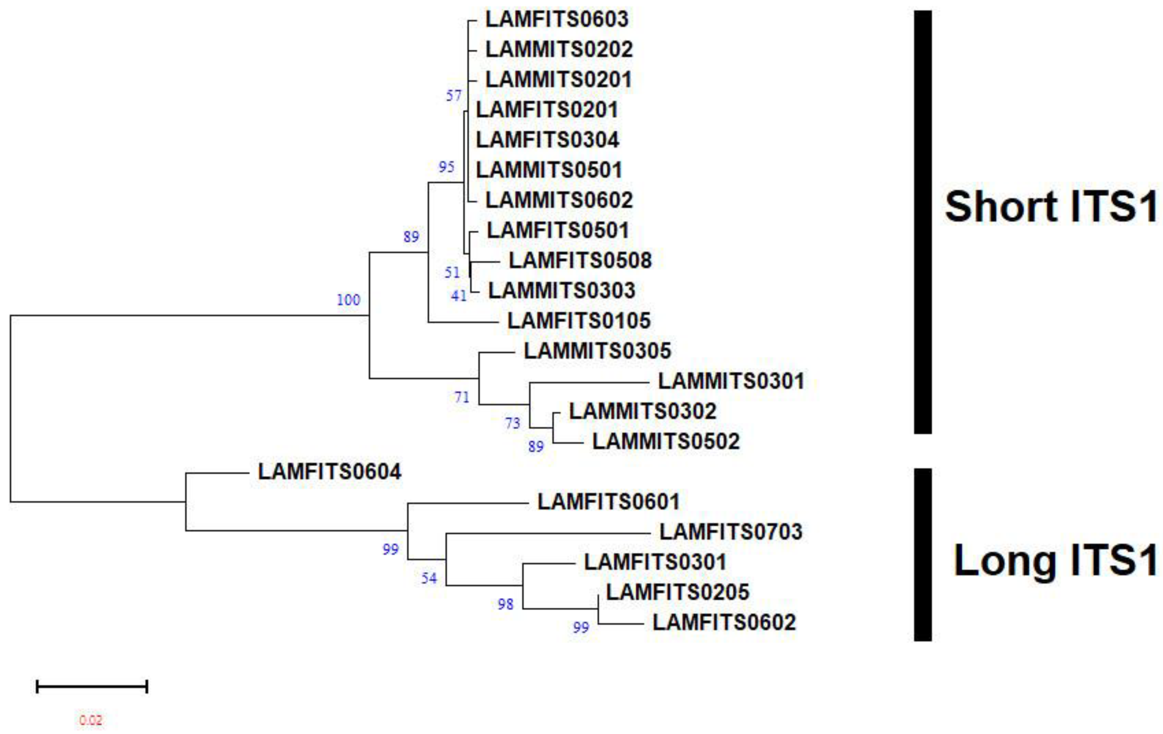 Plants 13 00005 g004