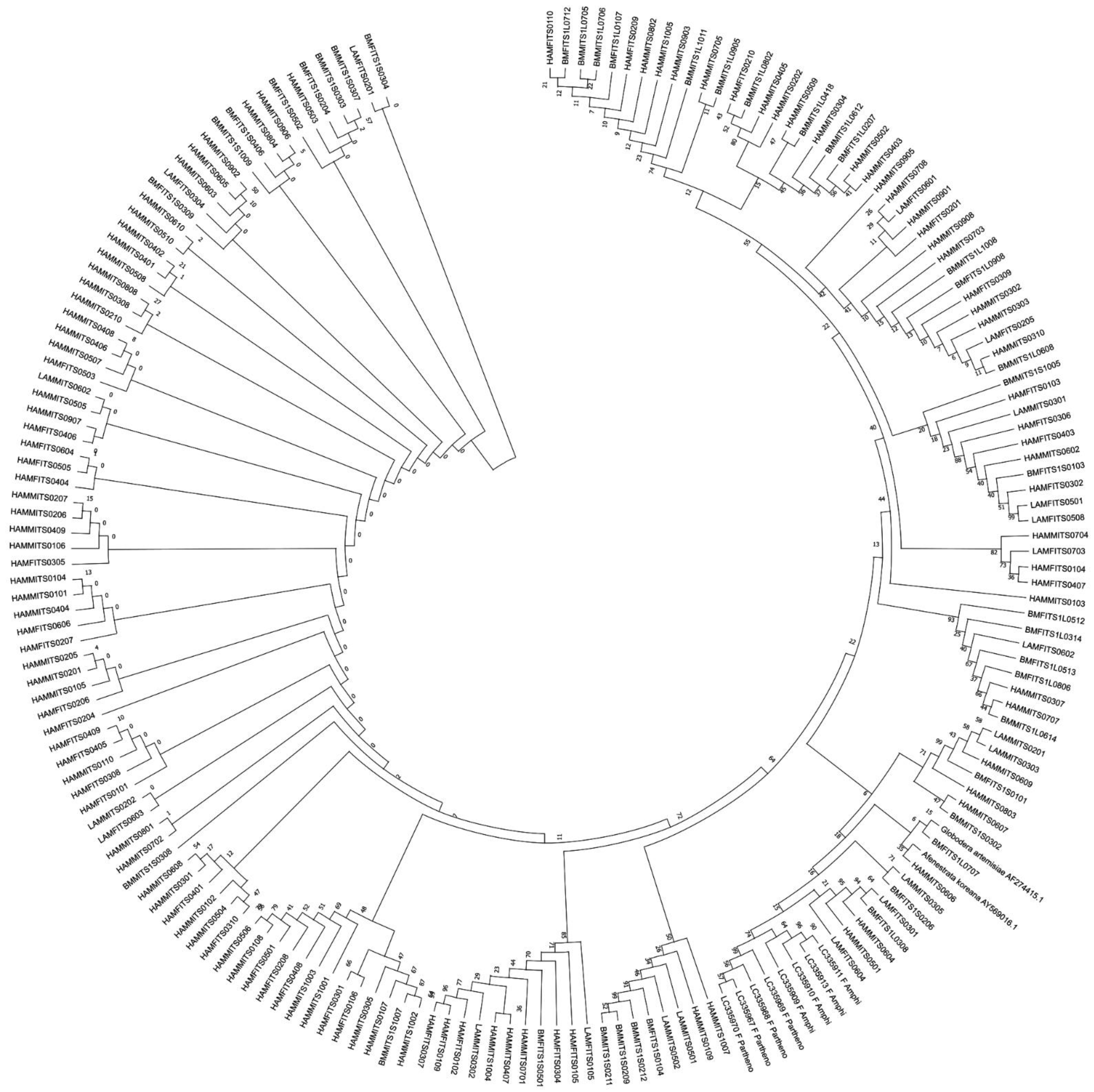 Plants 13 00005 g005