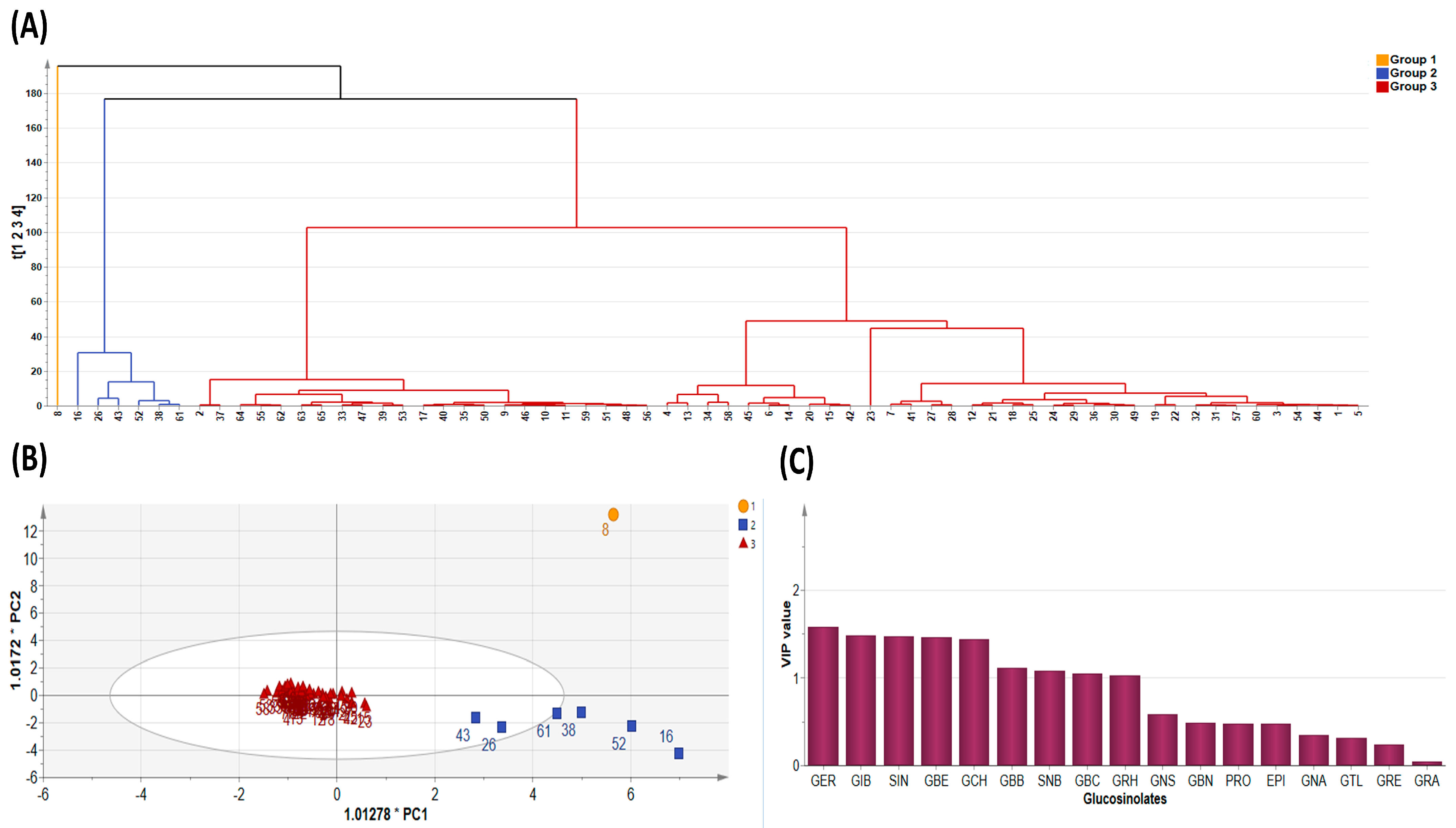 Plants 13 00009 g003