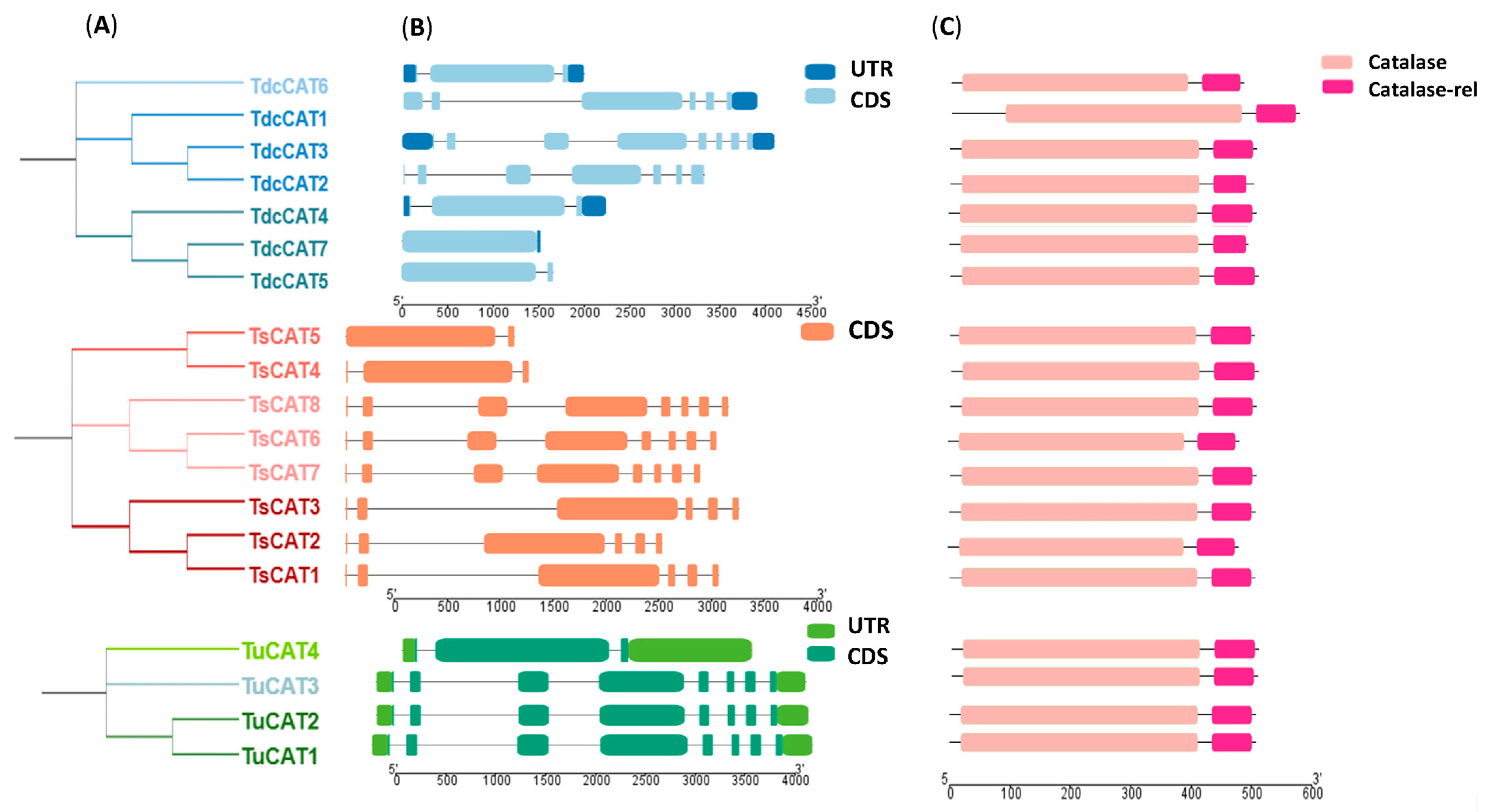 Plants 13 00011 g001 Plants 13 00011 g001