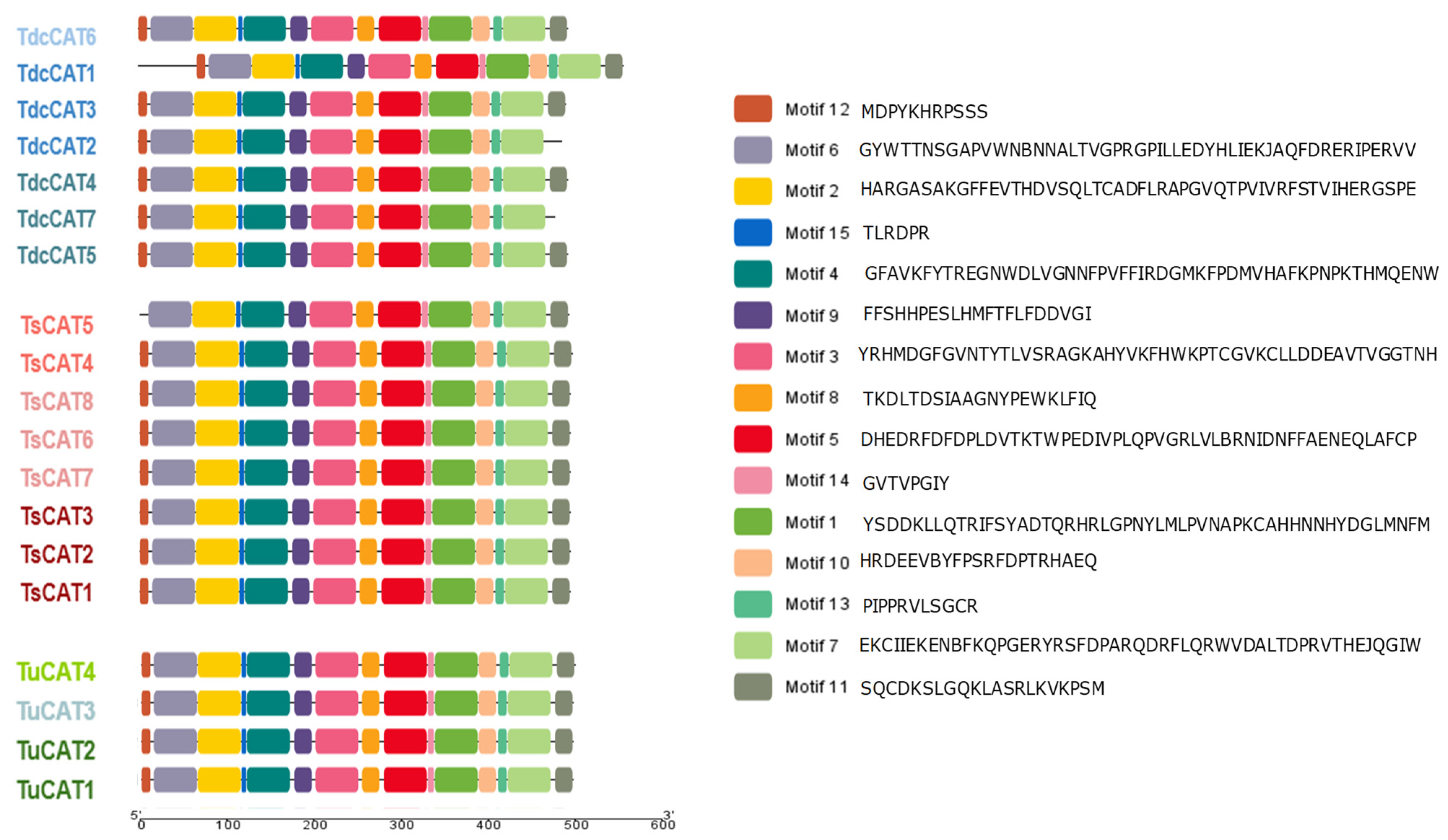 Plants 13 00011 g002 Plants 13 00011 g002