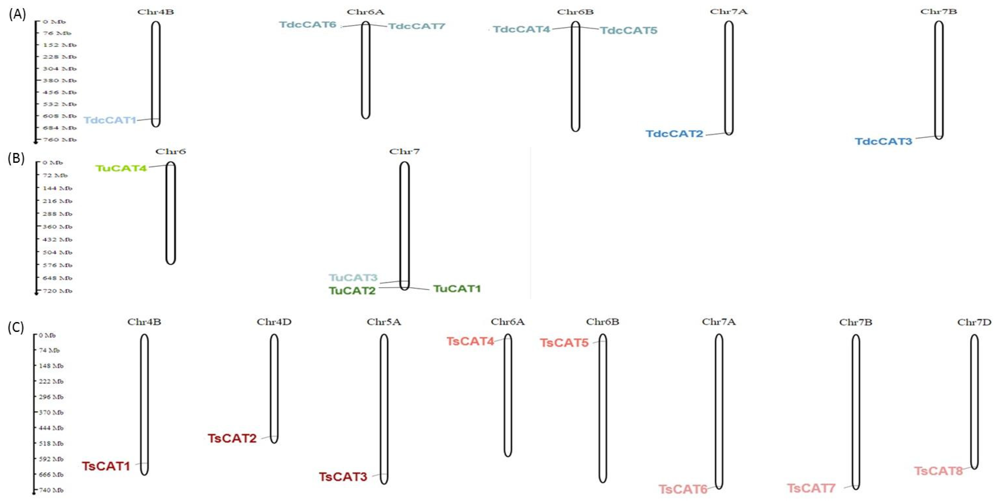 Plants 13 00011 g003 Plants 13 00011 g003