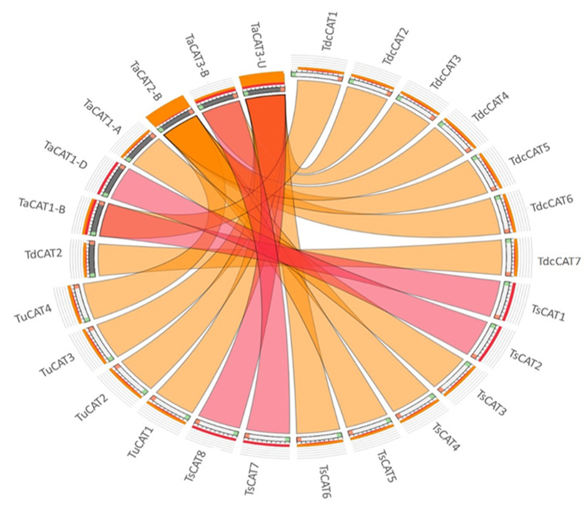 Plants 13 00011 g004 Plants 13 00011 g004