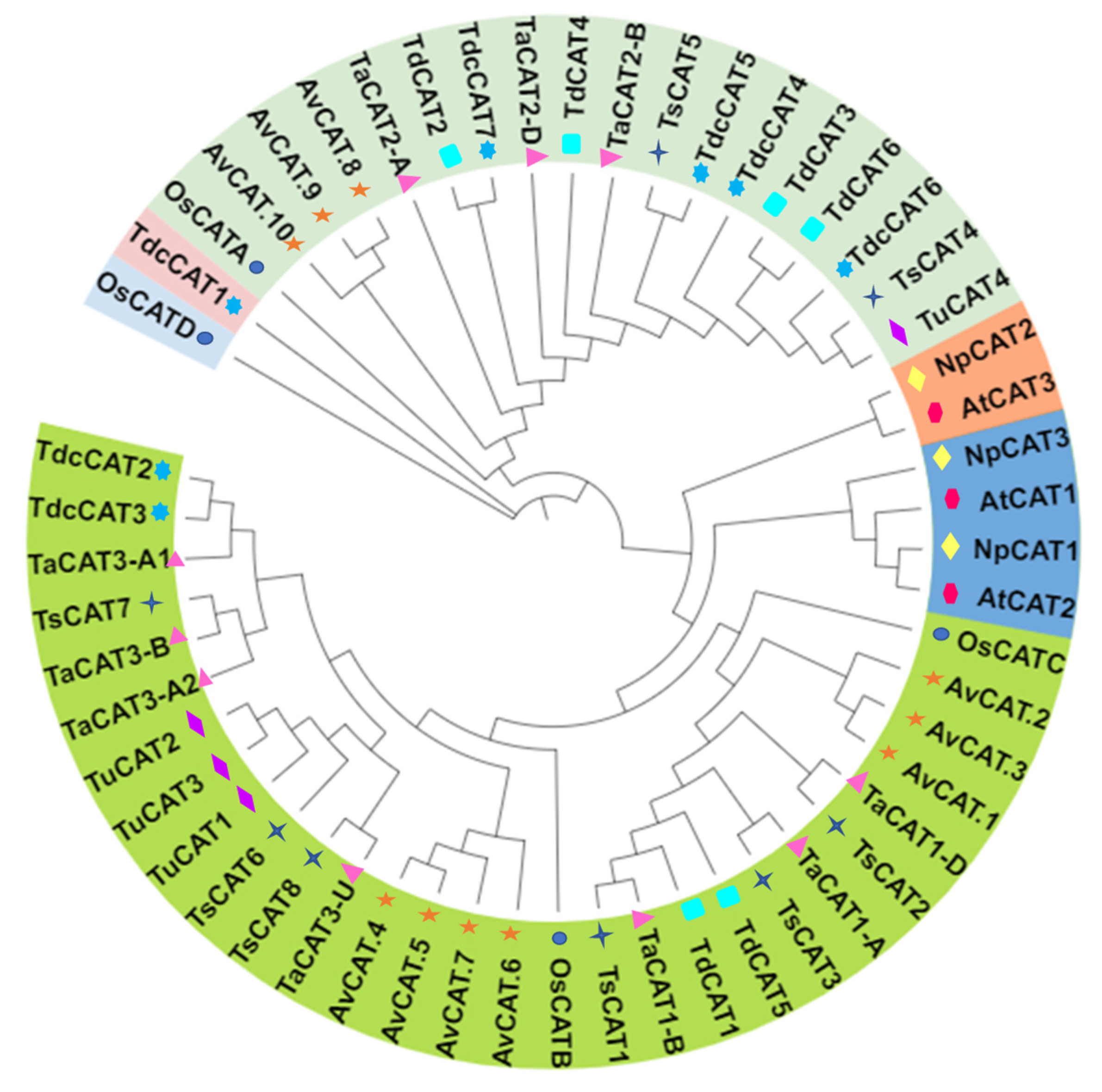 Plants 13 00011 g005 Plants 13 00011 g005