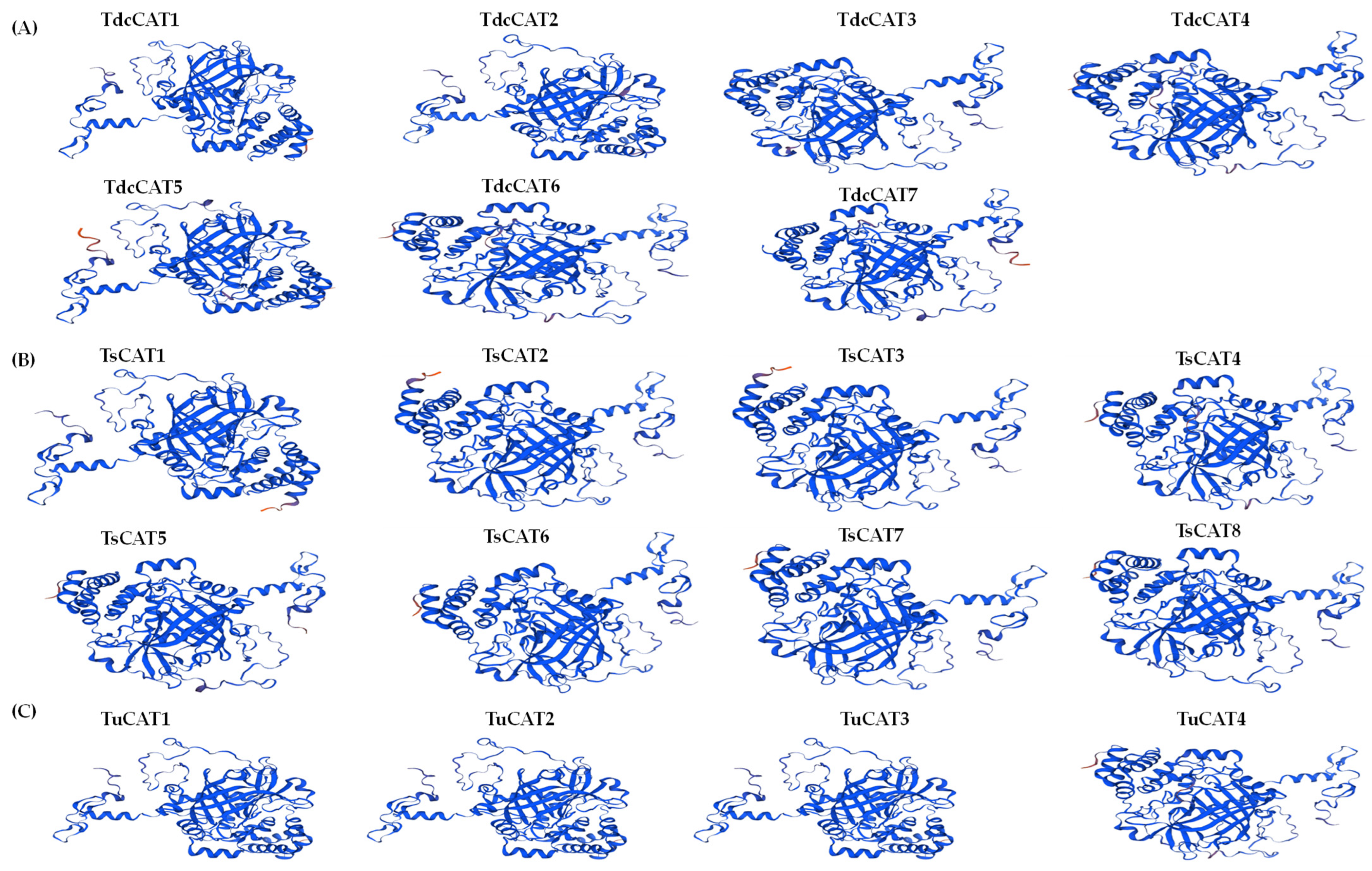 Plants 13 00011 g006 Plants 13 00011 g006