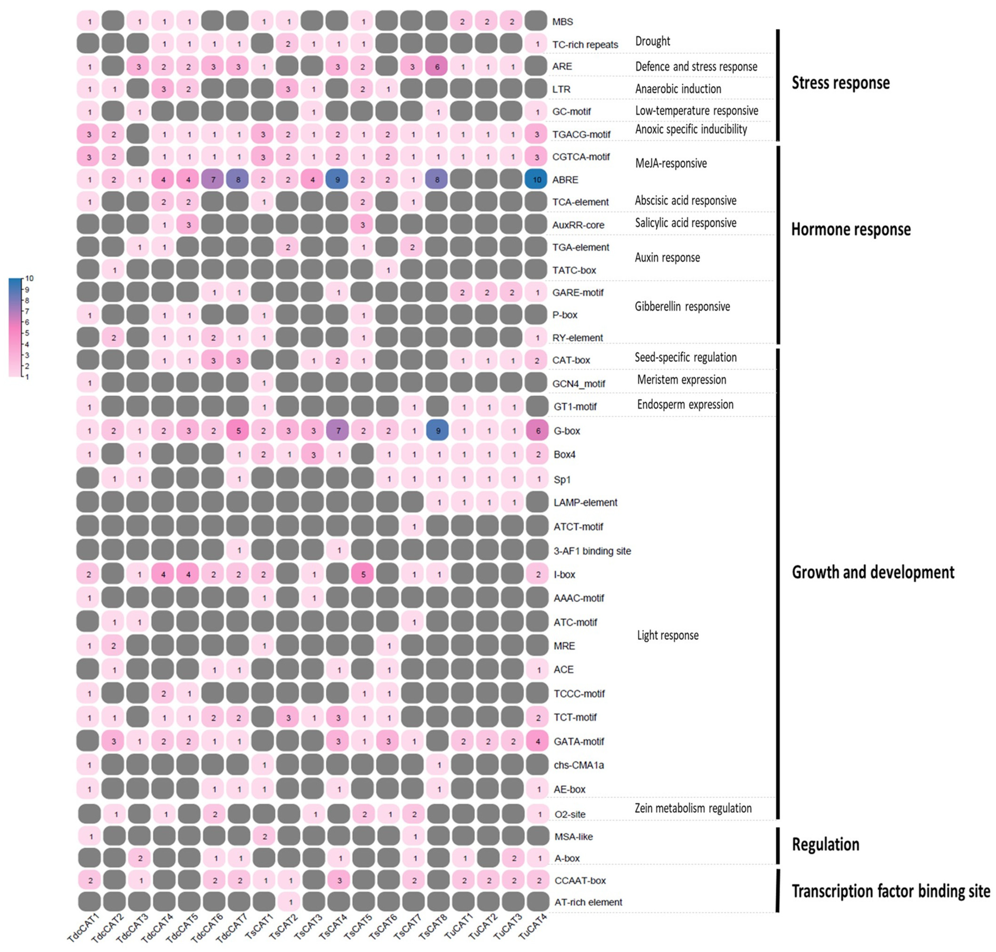 Plants 13 00011 g010 Plants 13 00011 g010