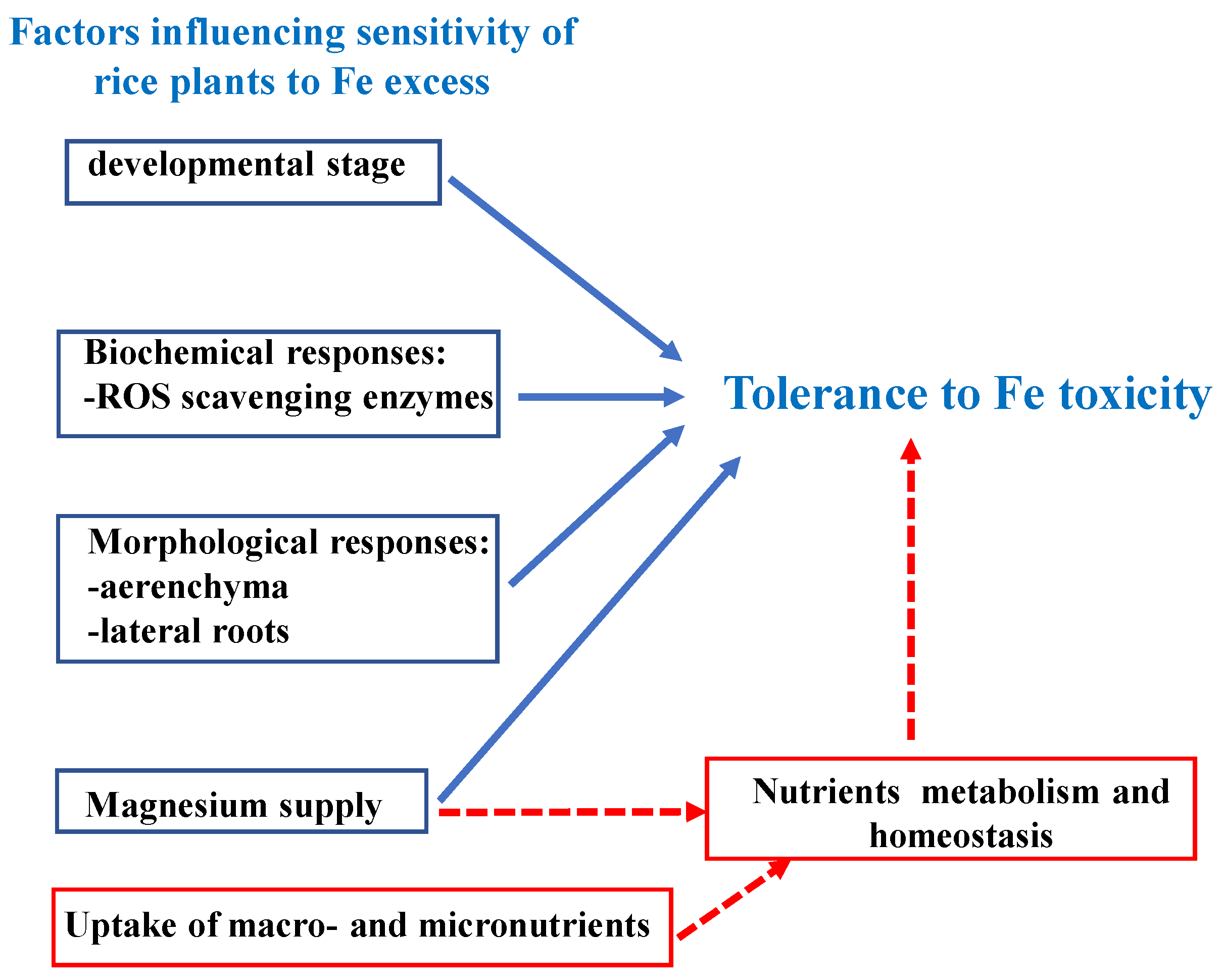 Plants 13 00014 g002