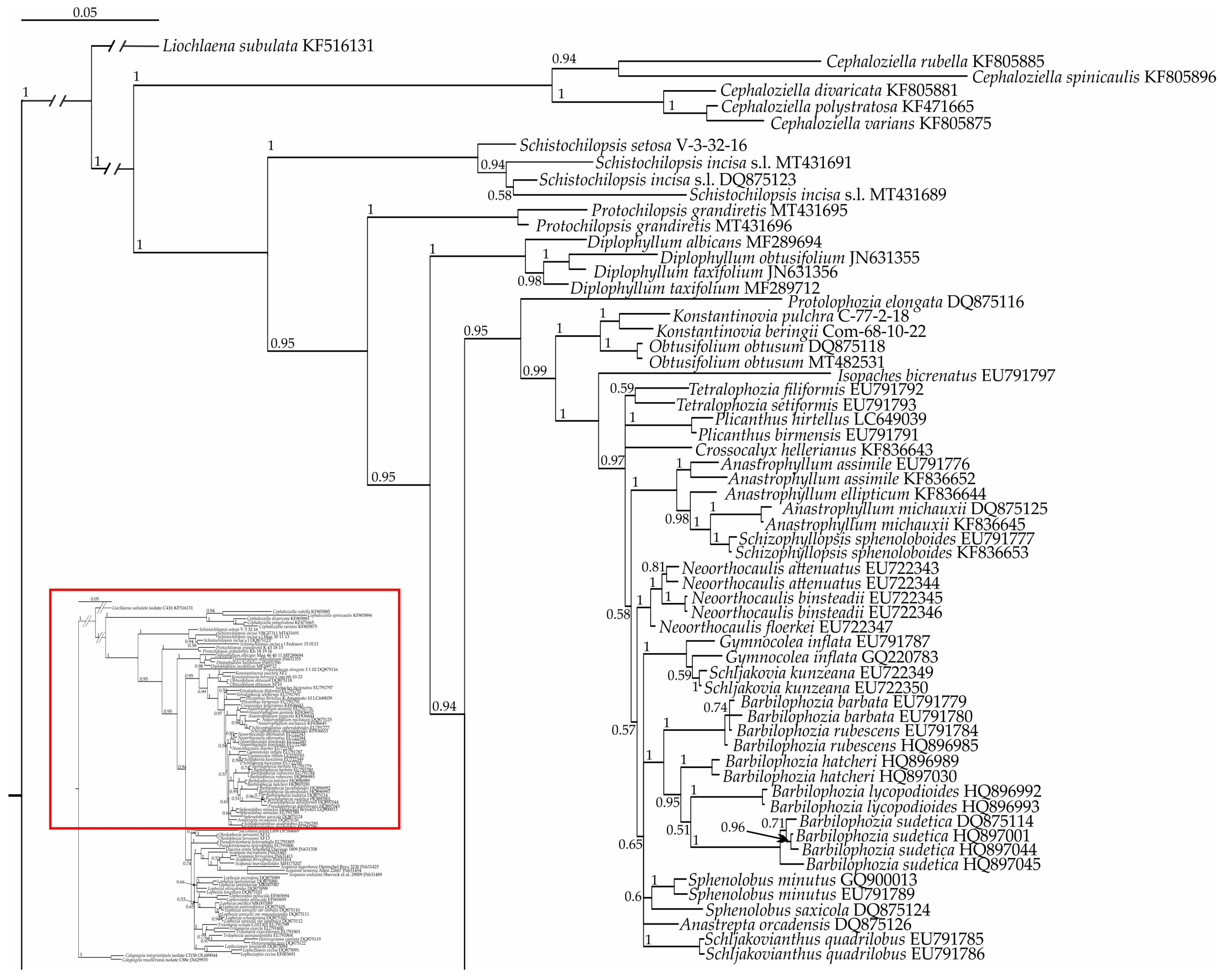 Plants 13 00015 g001a