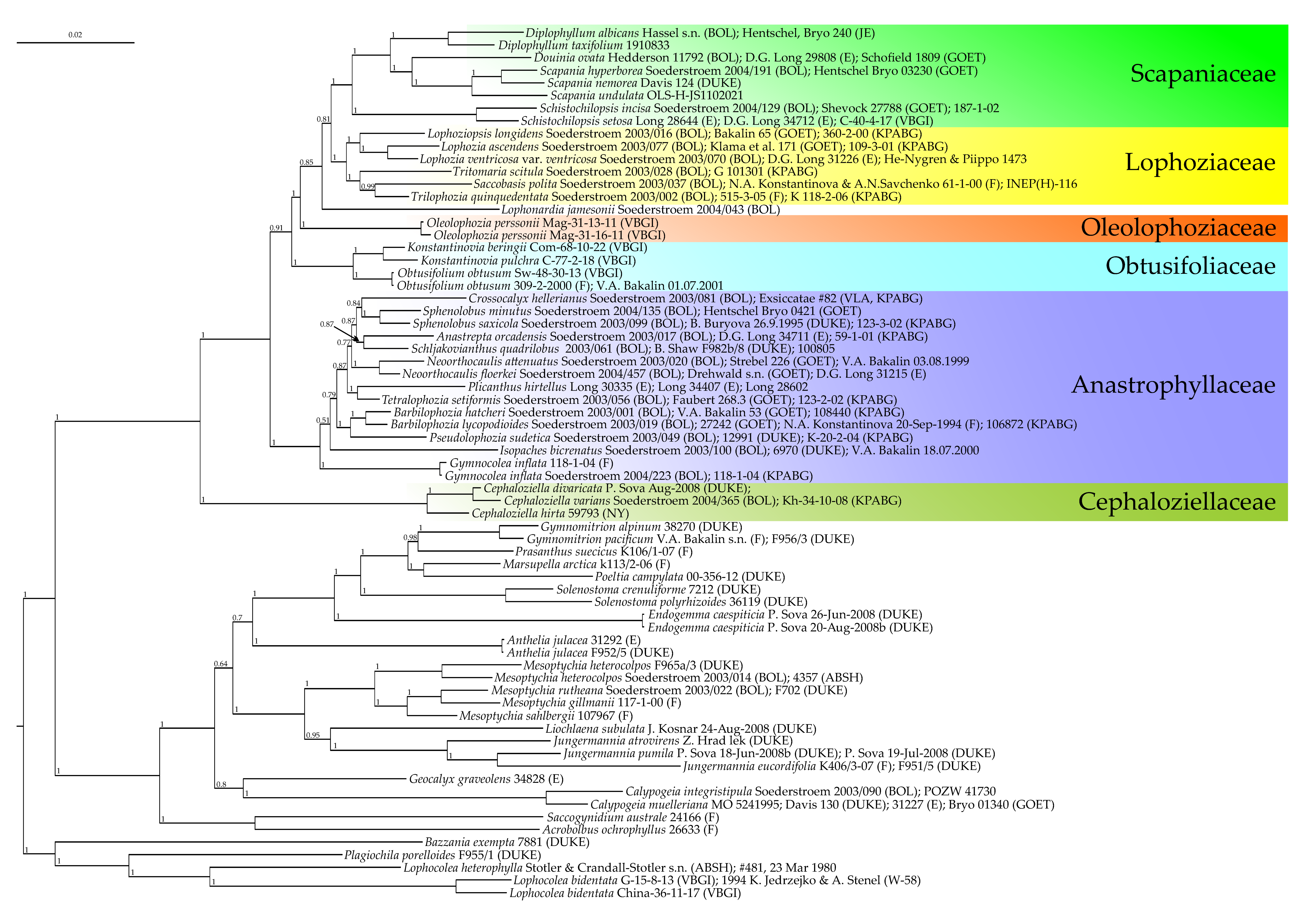 Plants 13 00015 g002