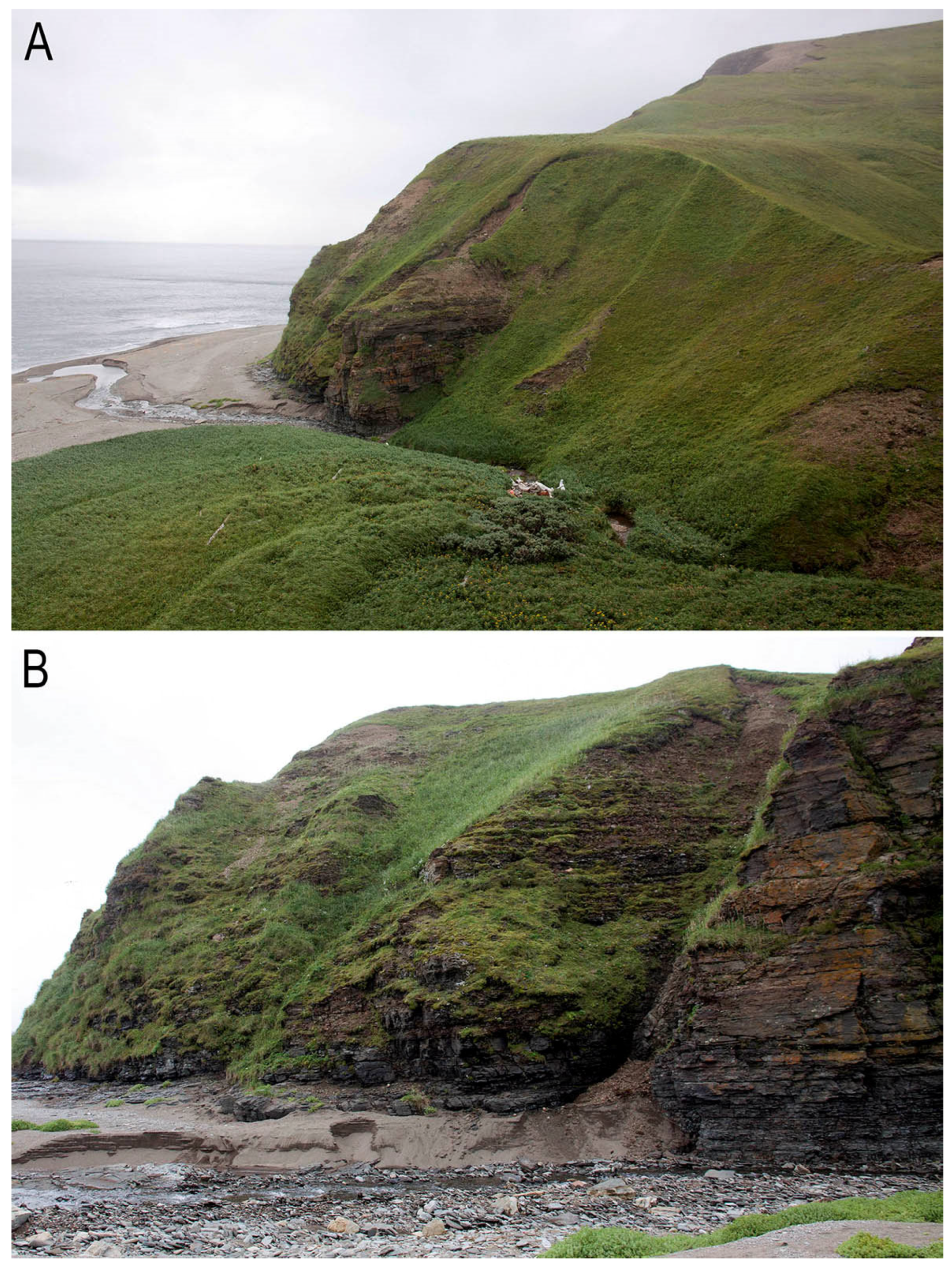 Plants 13 00015 g005