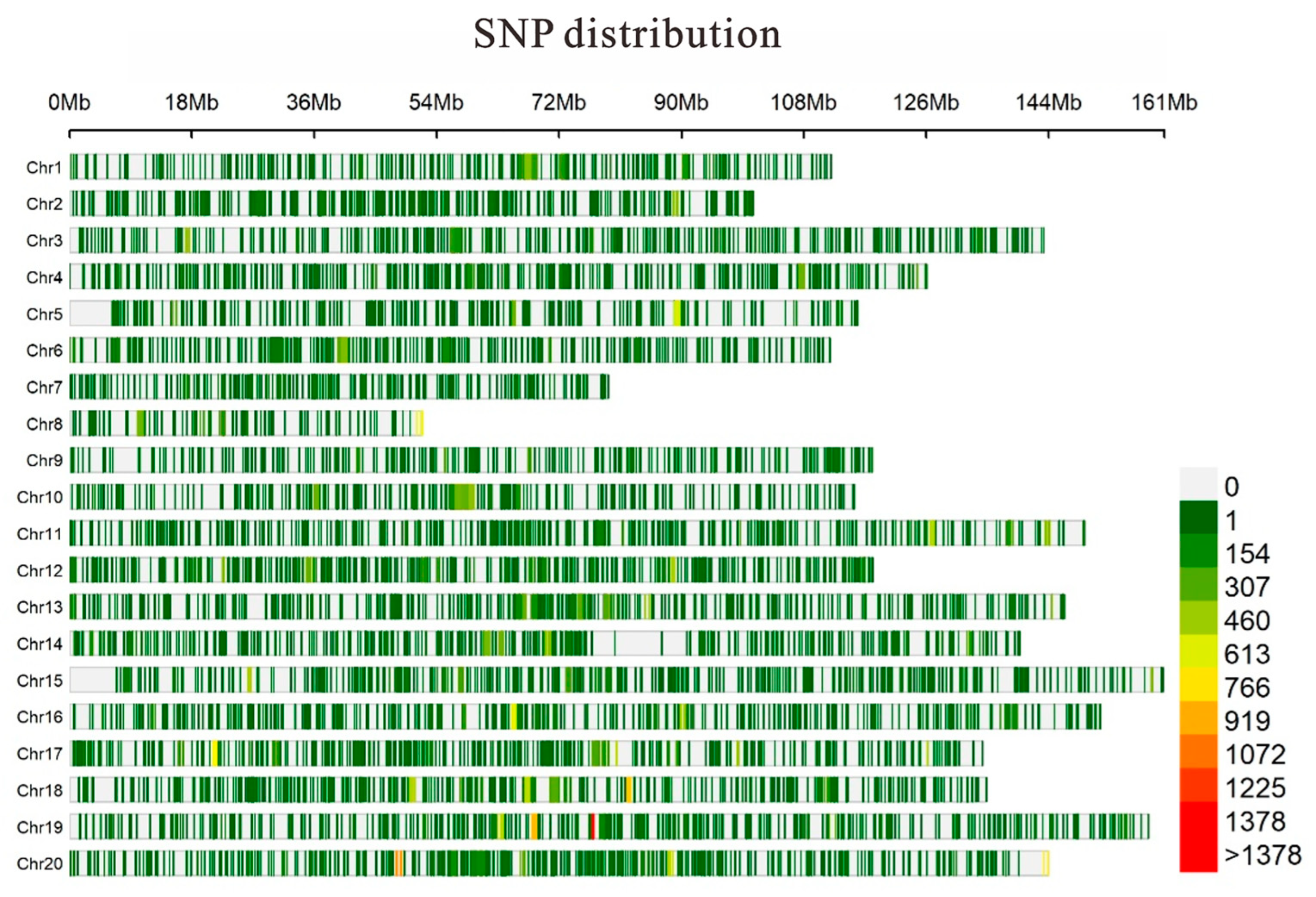 Plants 13 00016 g001