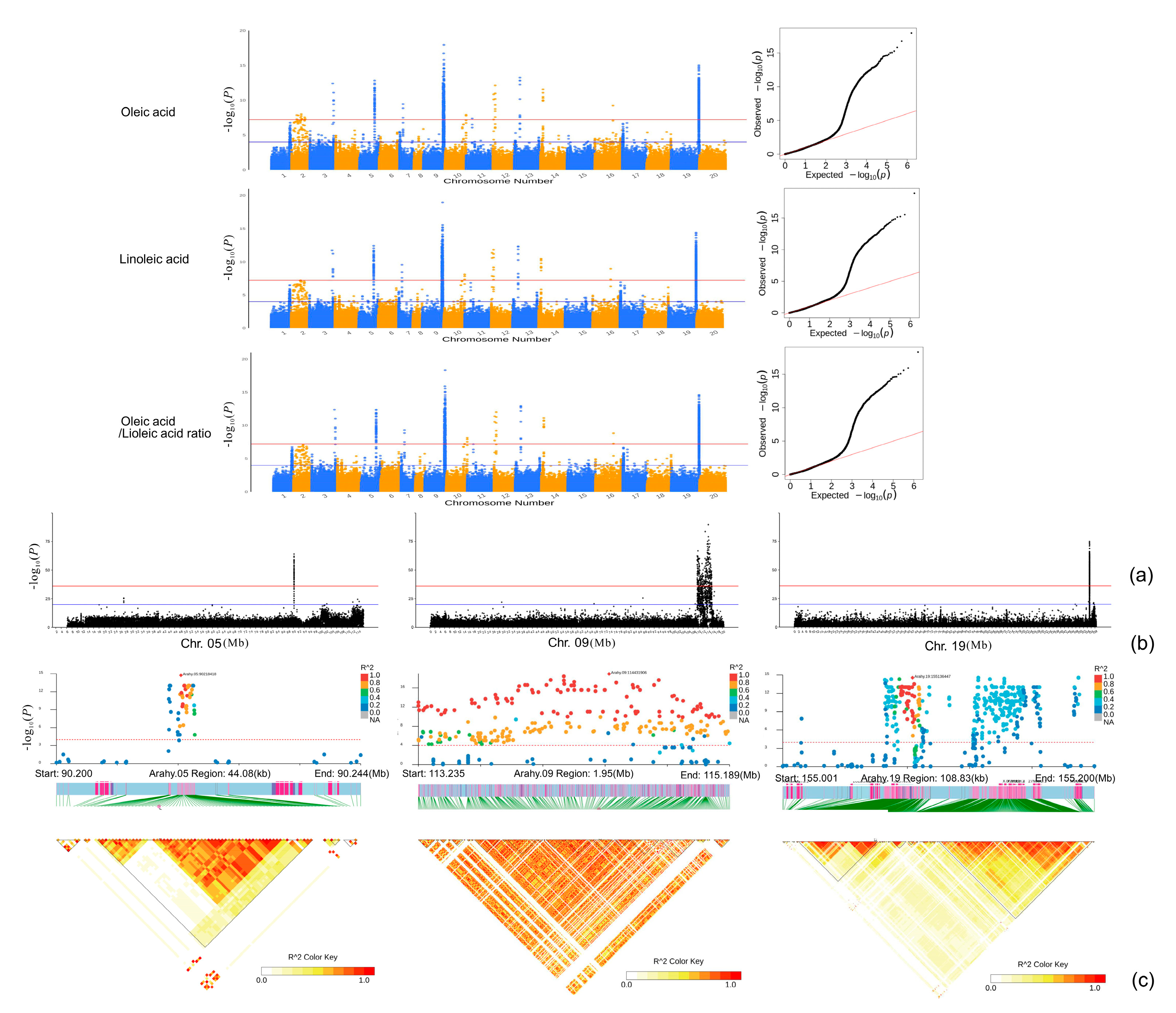 Plants 13 00016 g005