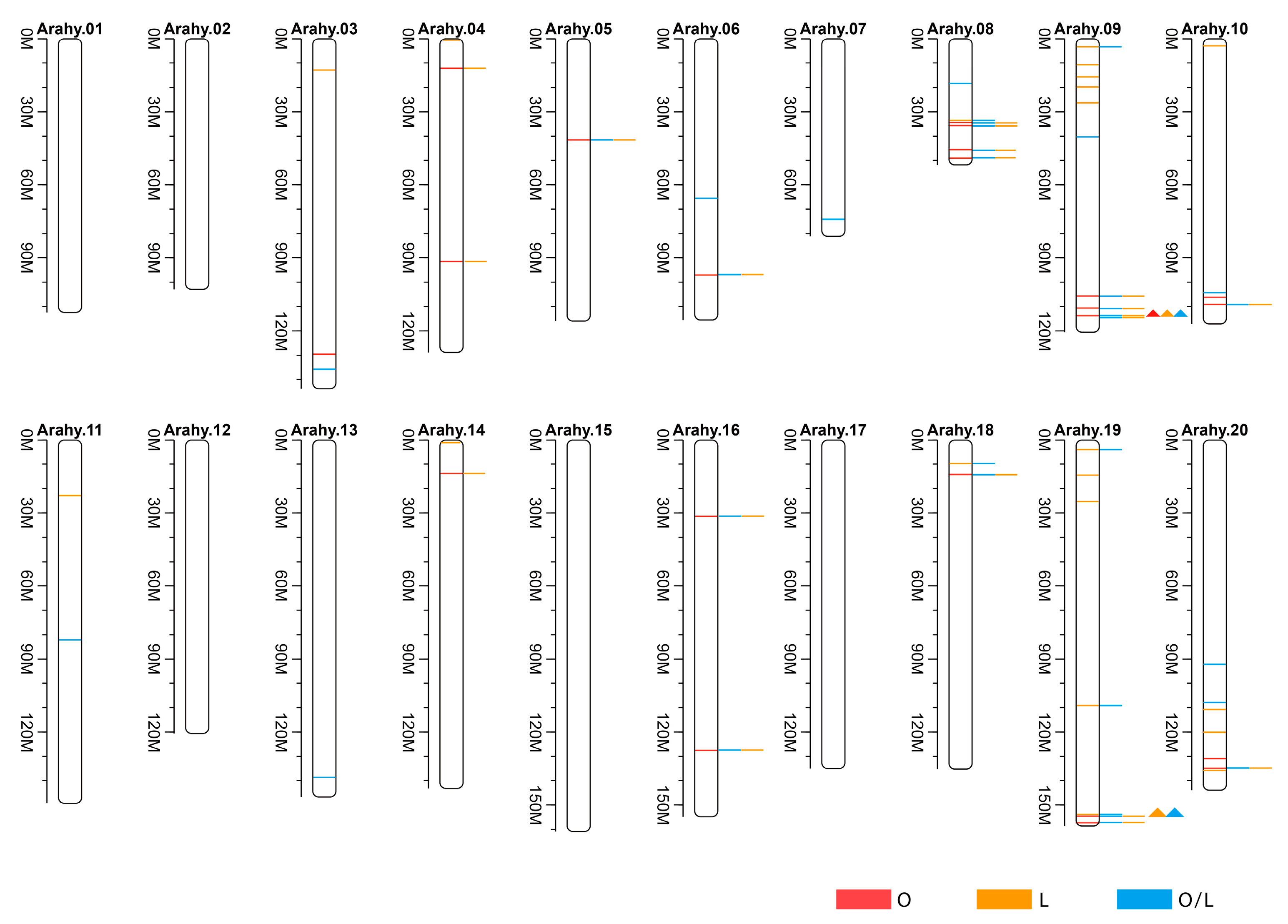 Plants 13 00016 g009