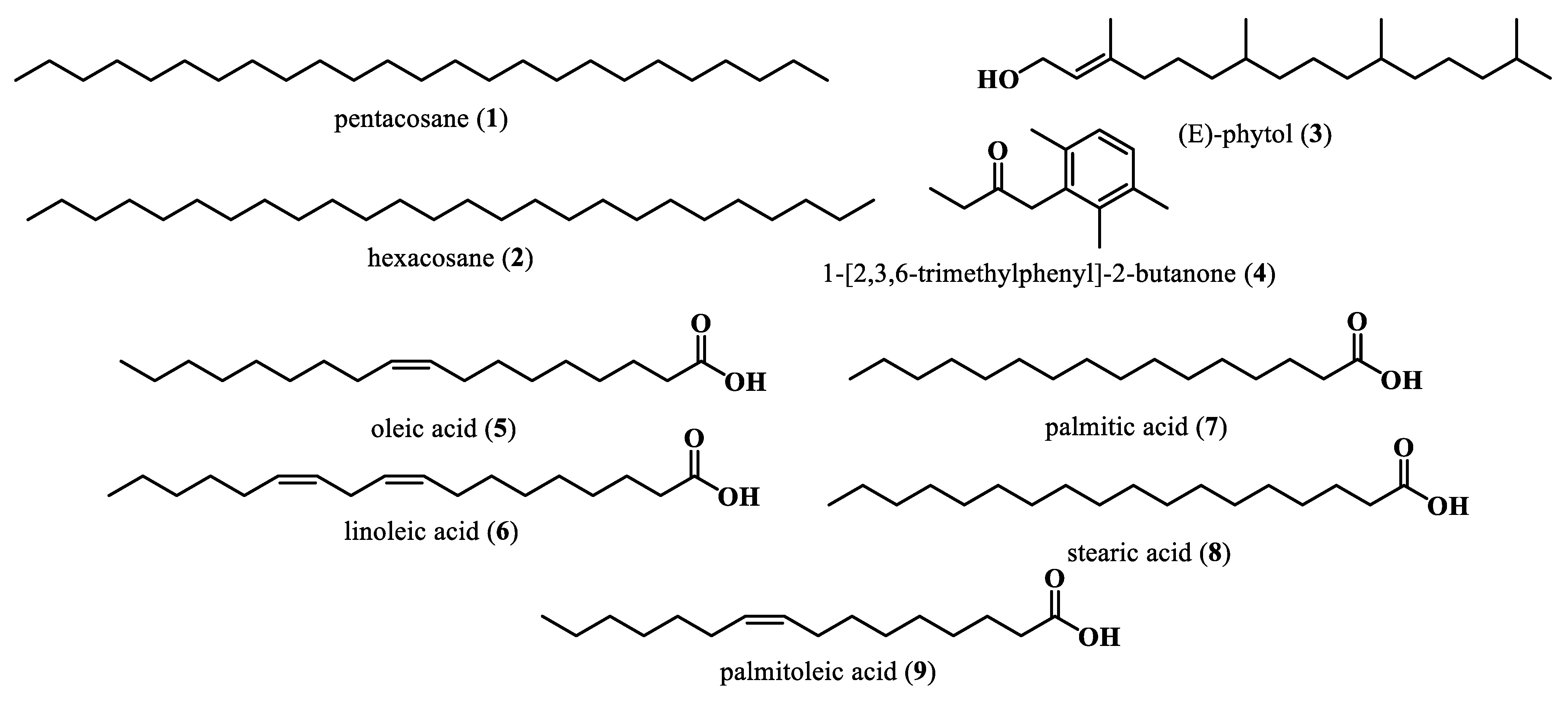 Plants 13 00020 g002