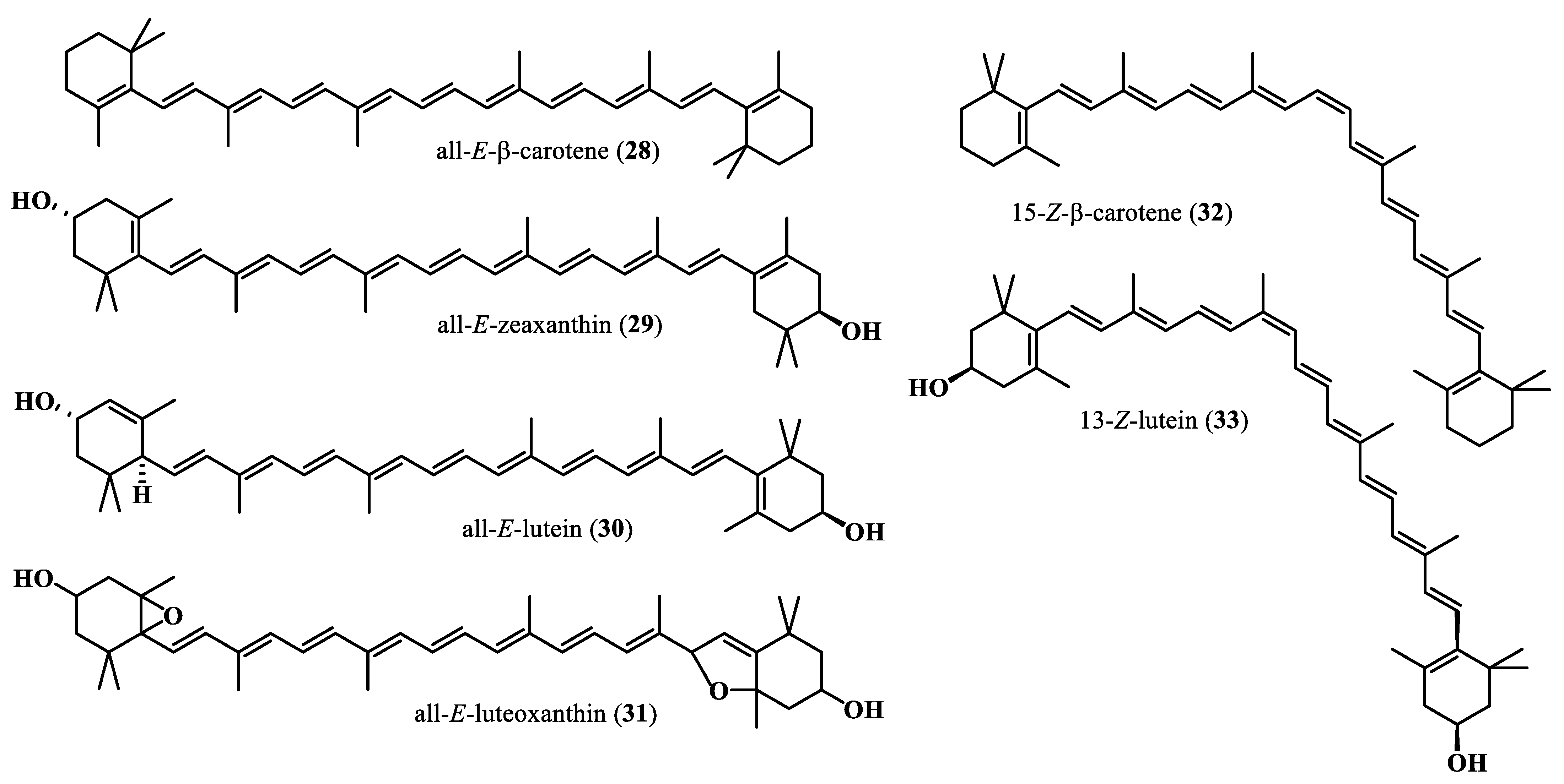 Plants 13 00020 g005