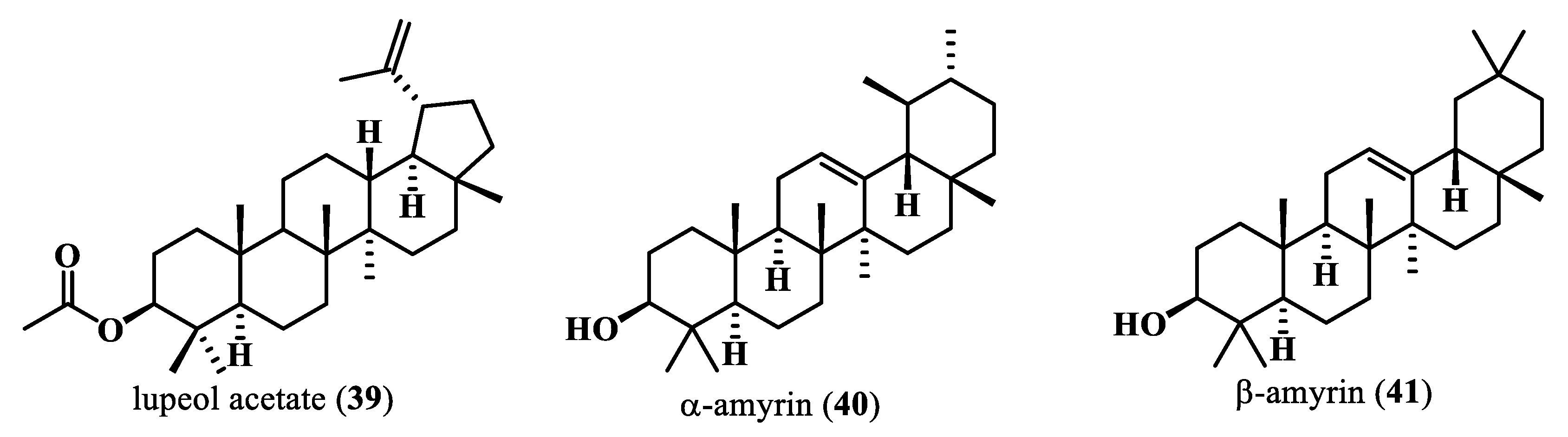 Plants 13 00020 g007