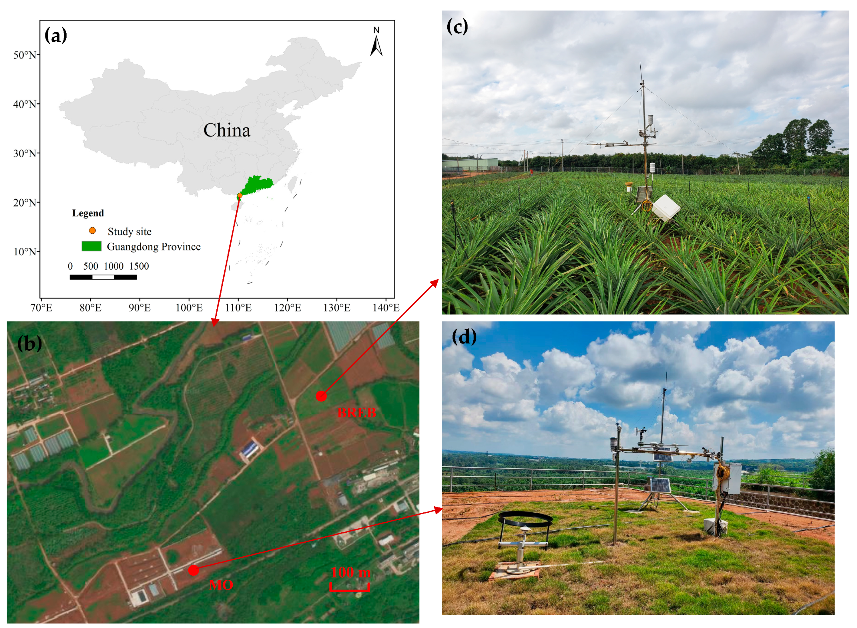 Plants 13 00021 g001