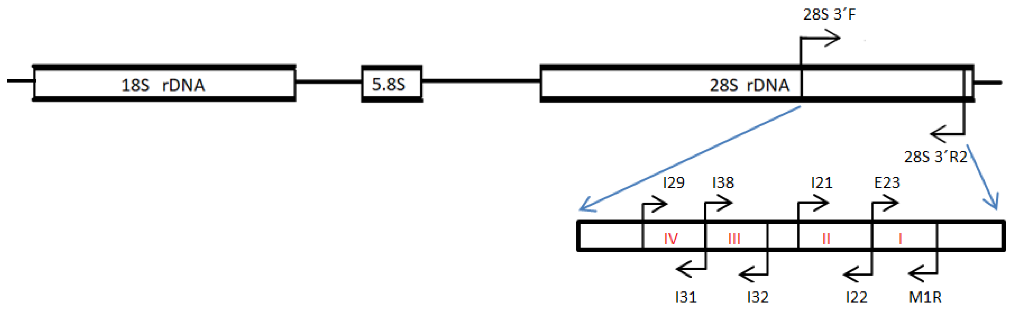 Plants 13 00022 g003