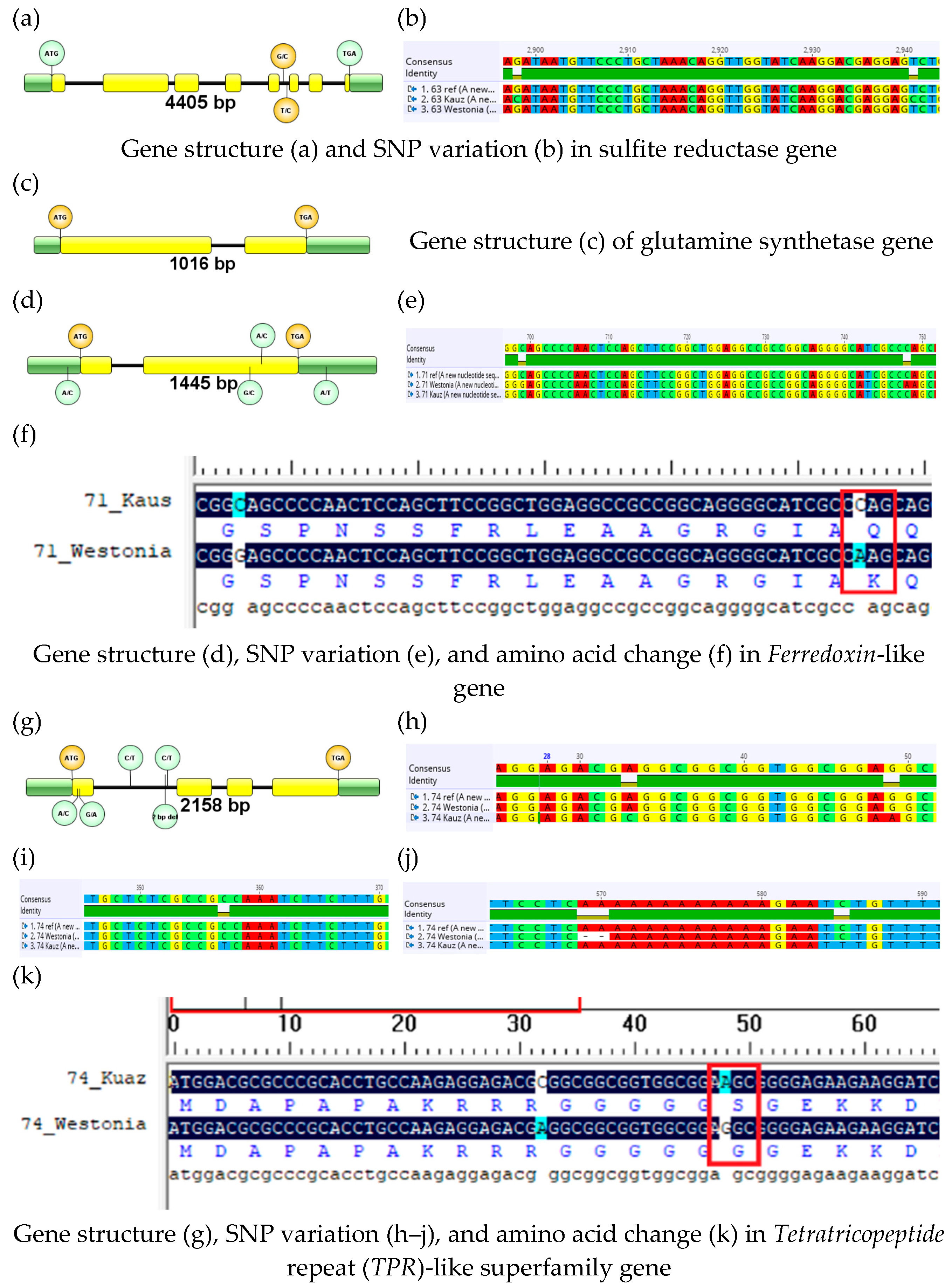 Plants 13 00026 g002 Plants 13 00026 g002