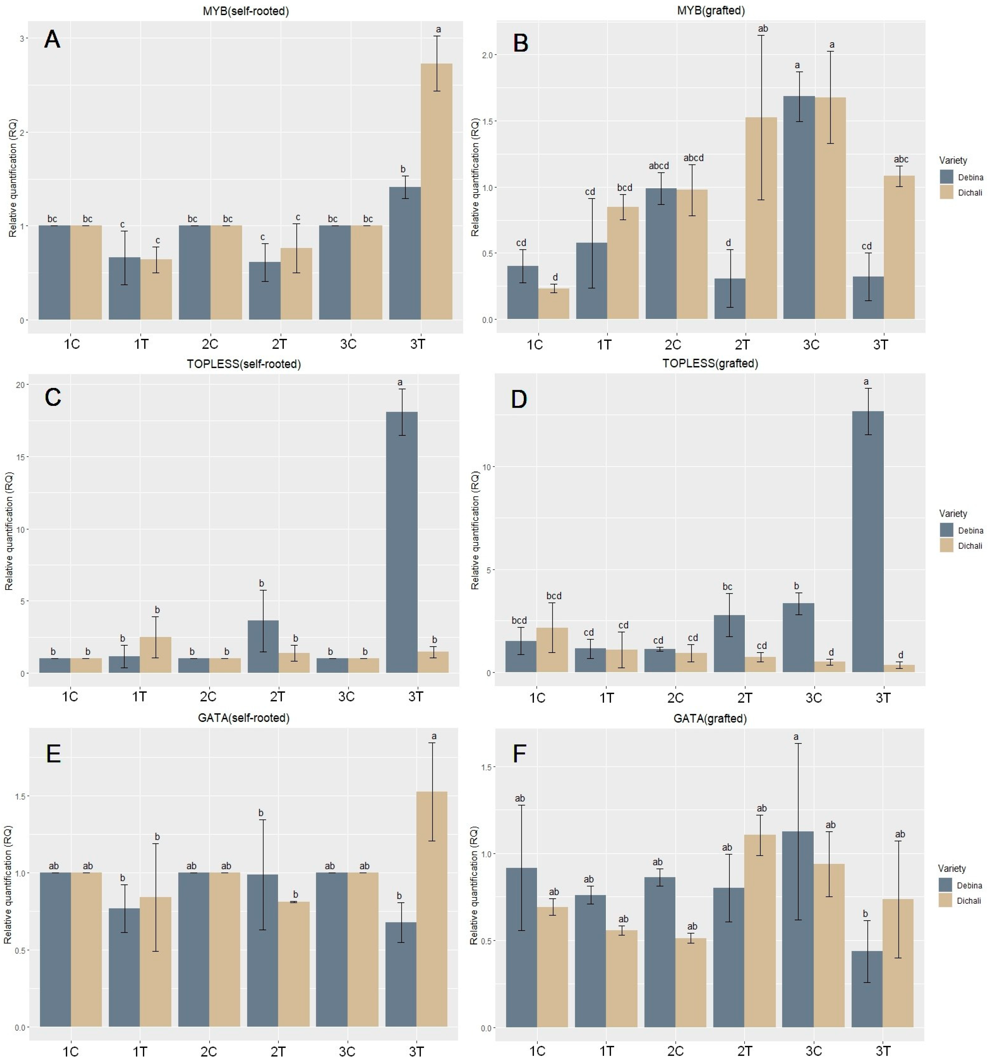 Plants 13 00027 g003a