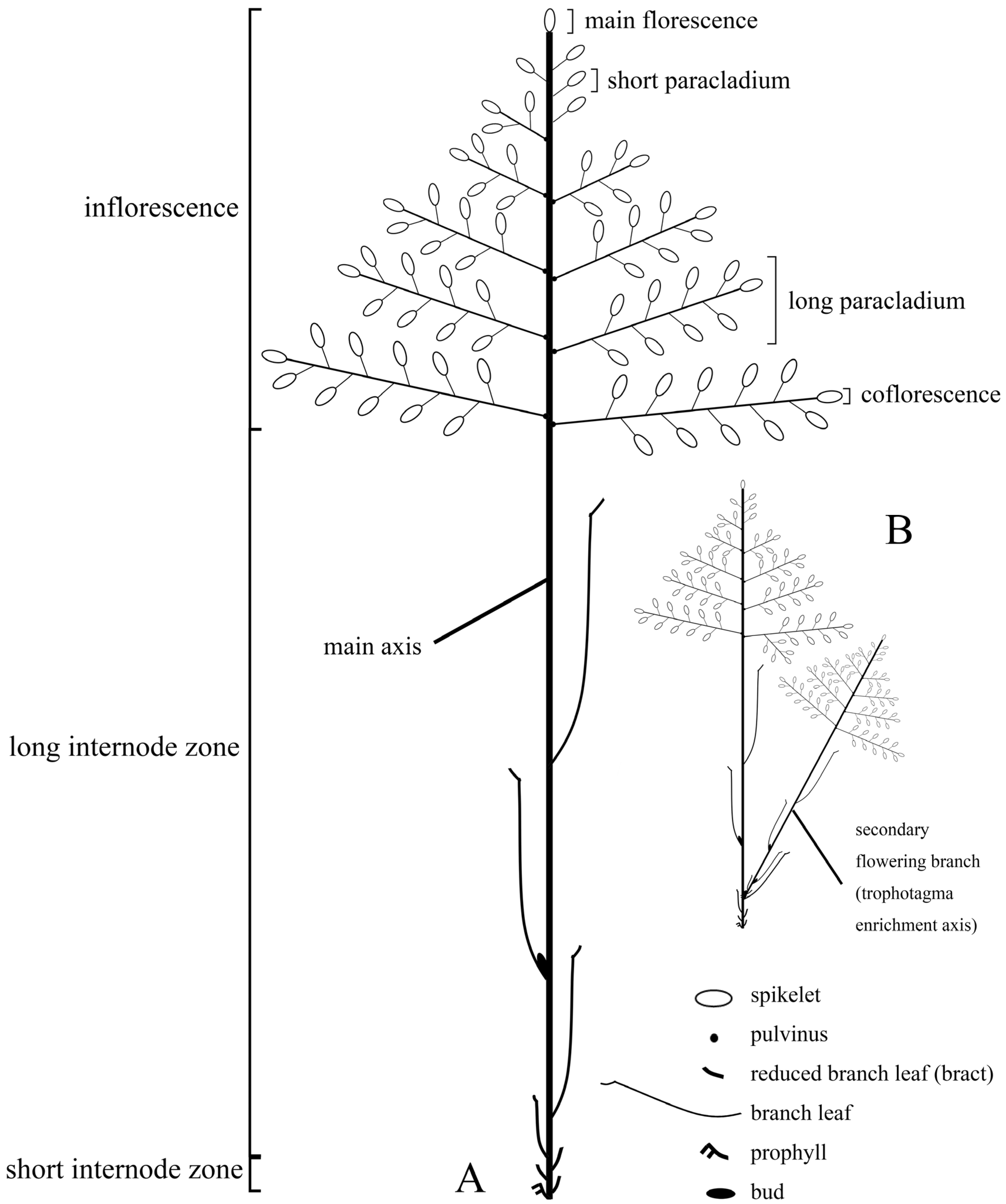 Plants 13 00029 g002 Plants 13 00029 g002