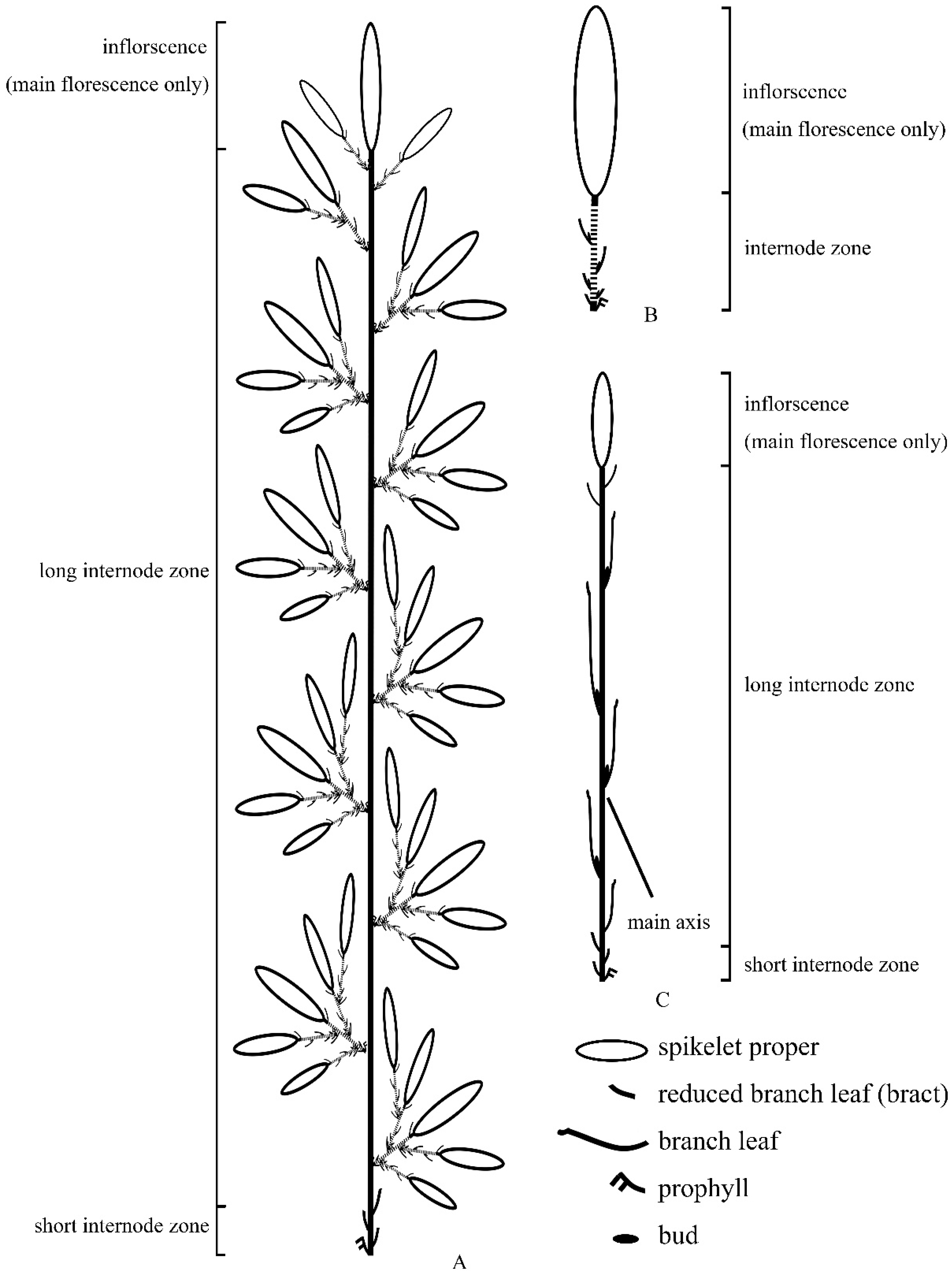 Plants 13 00029 g003 Plants 13 00029 g003