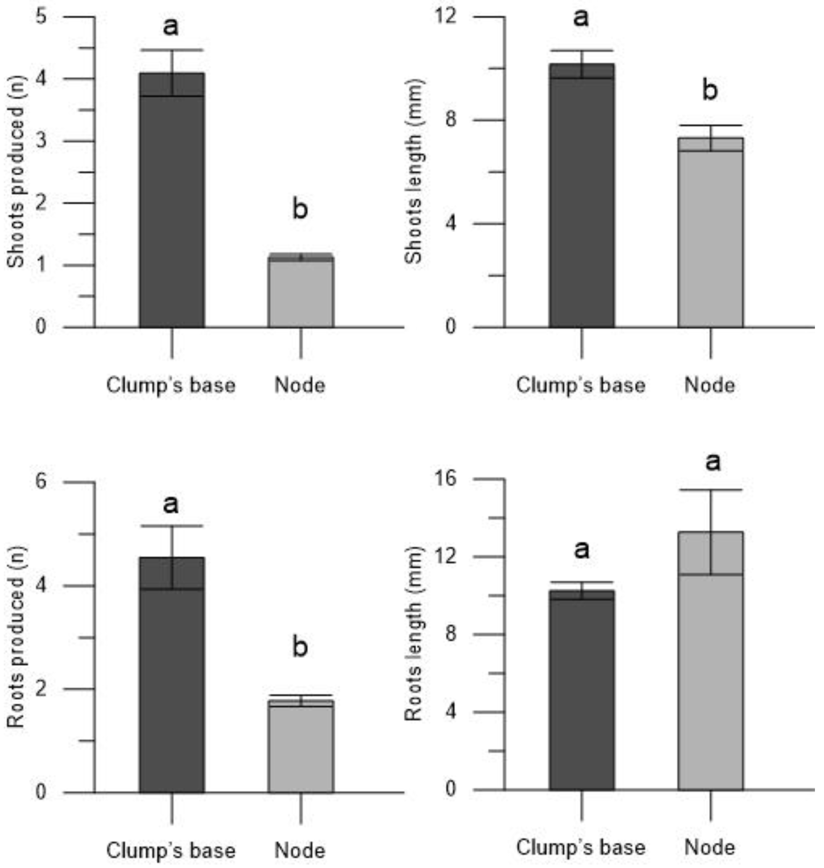 Plants 13 00032 g002