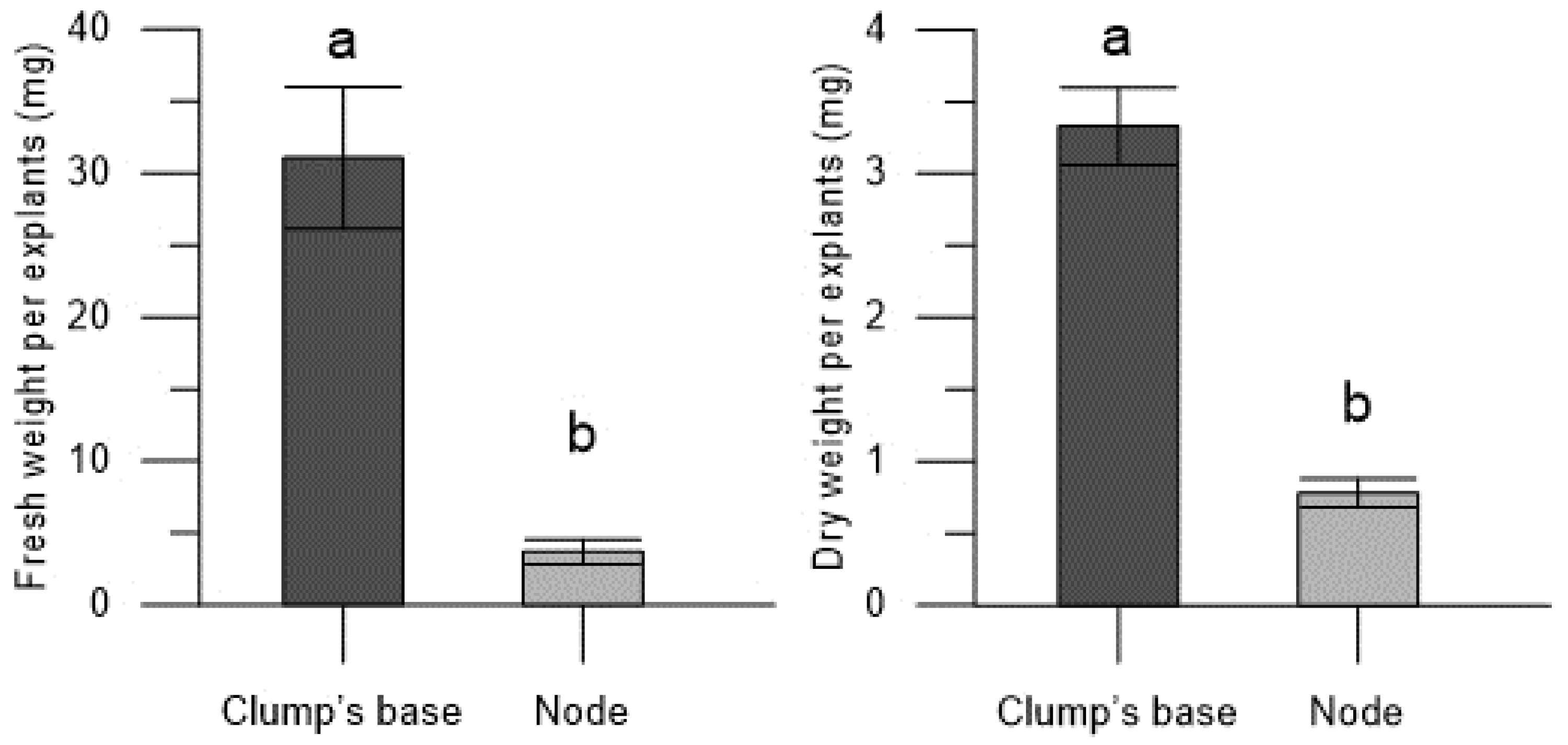 Plants 13 00032 g003