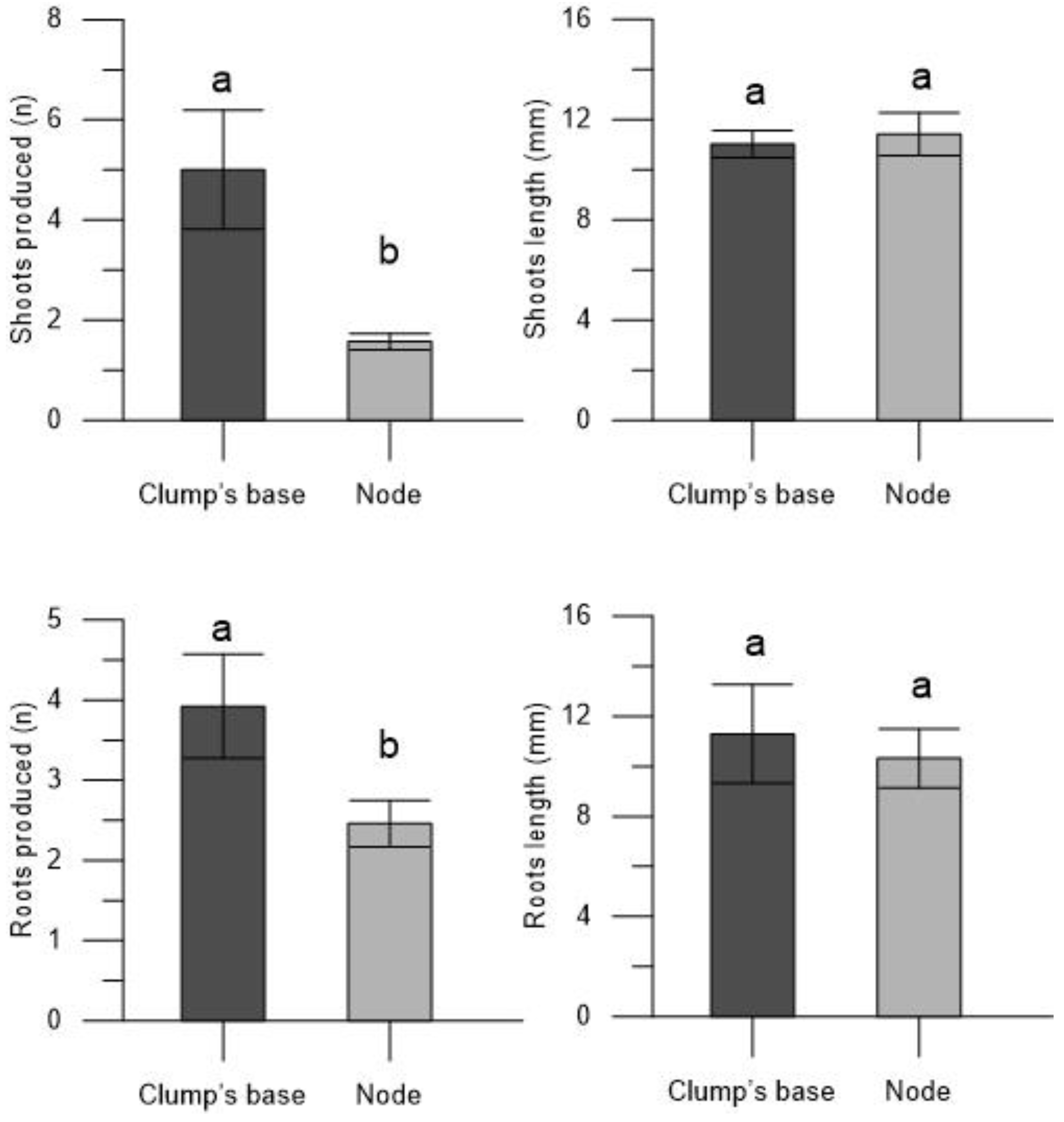 Plants 13 00032 g006