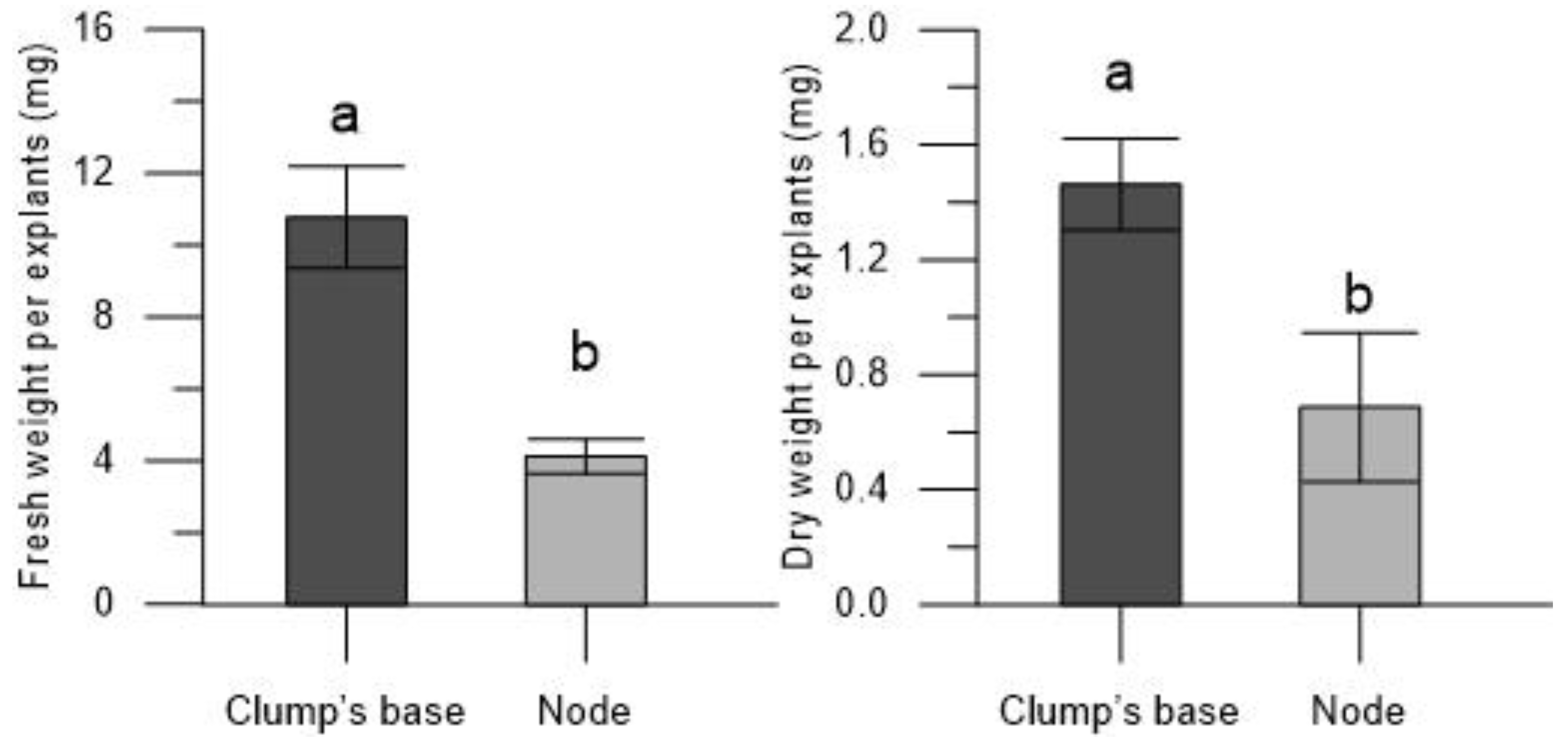Plants 13 00032 g007