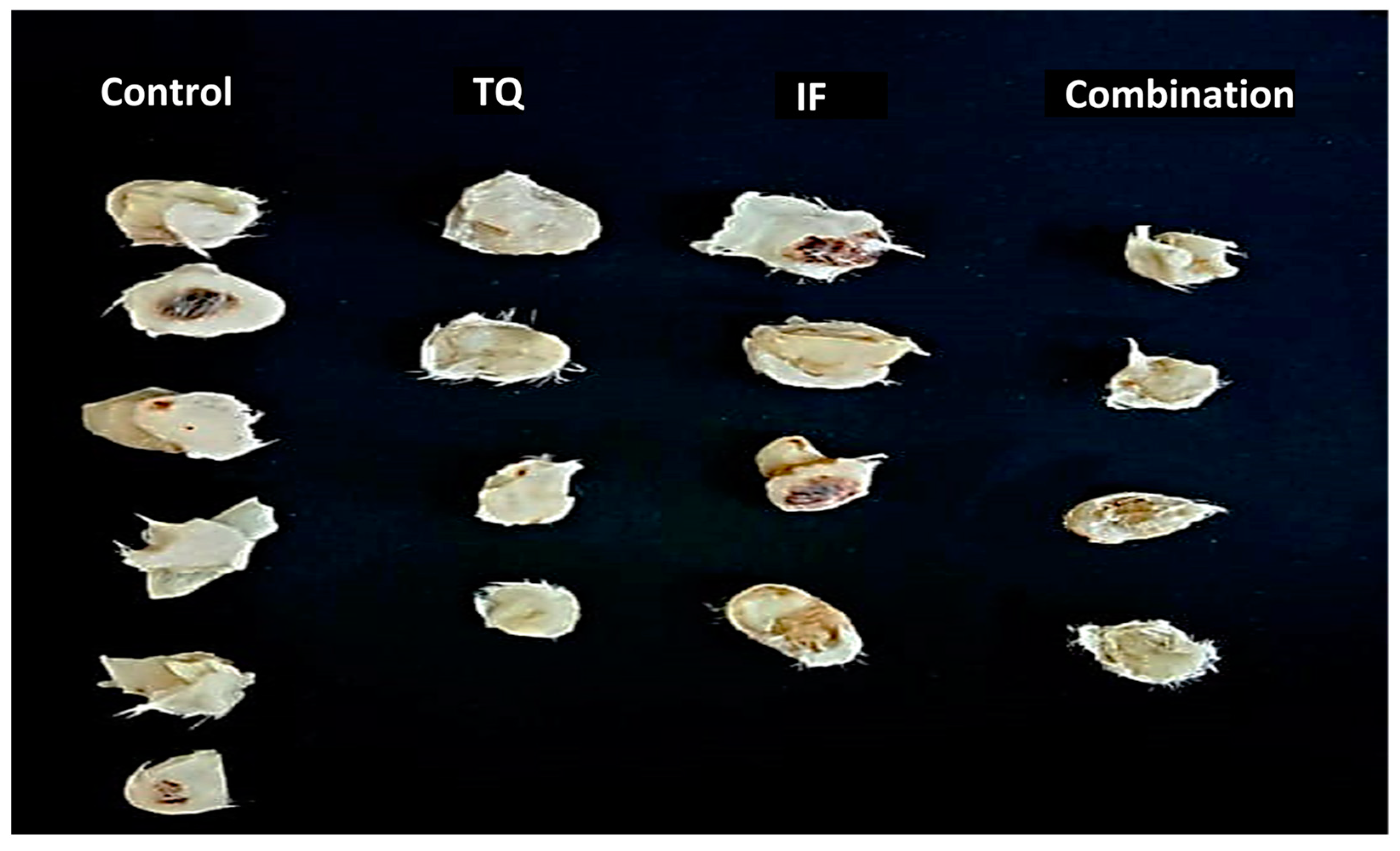 Plants 13 00035 g003