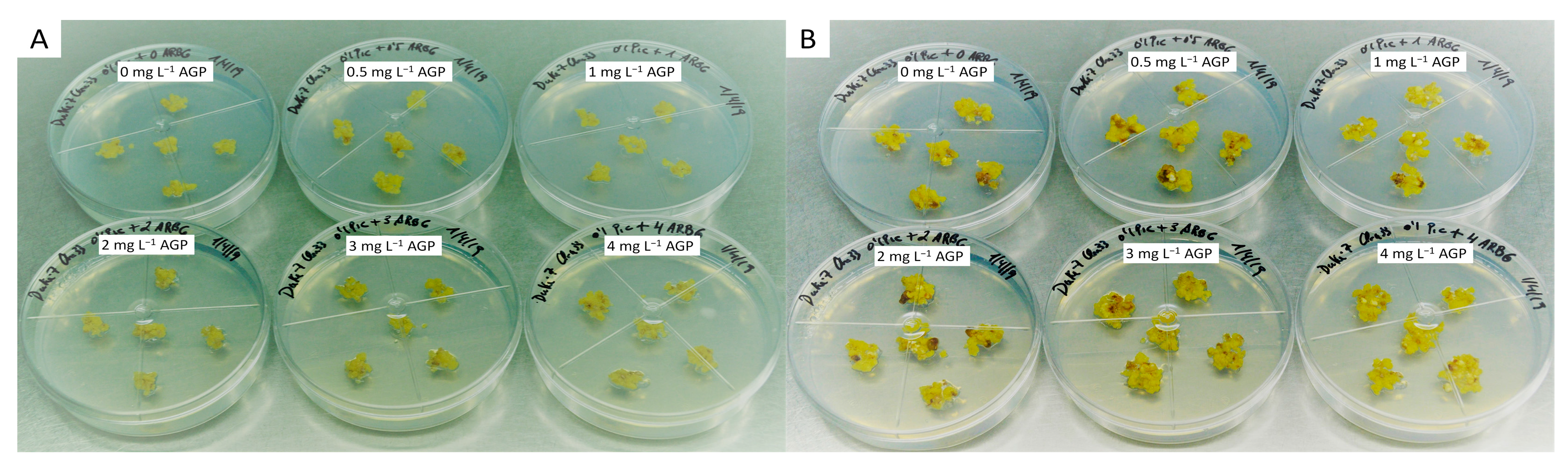 Plants 13 00037 g003