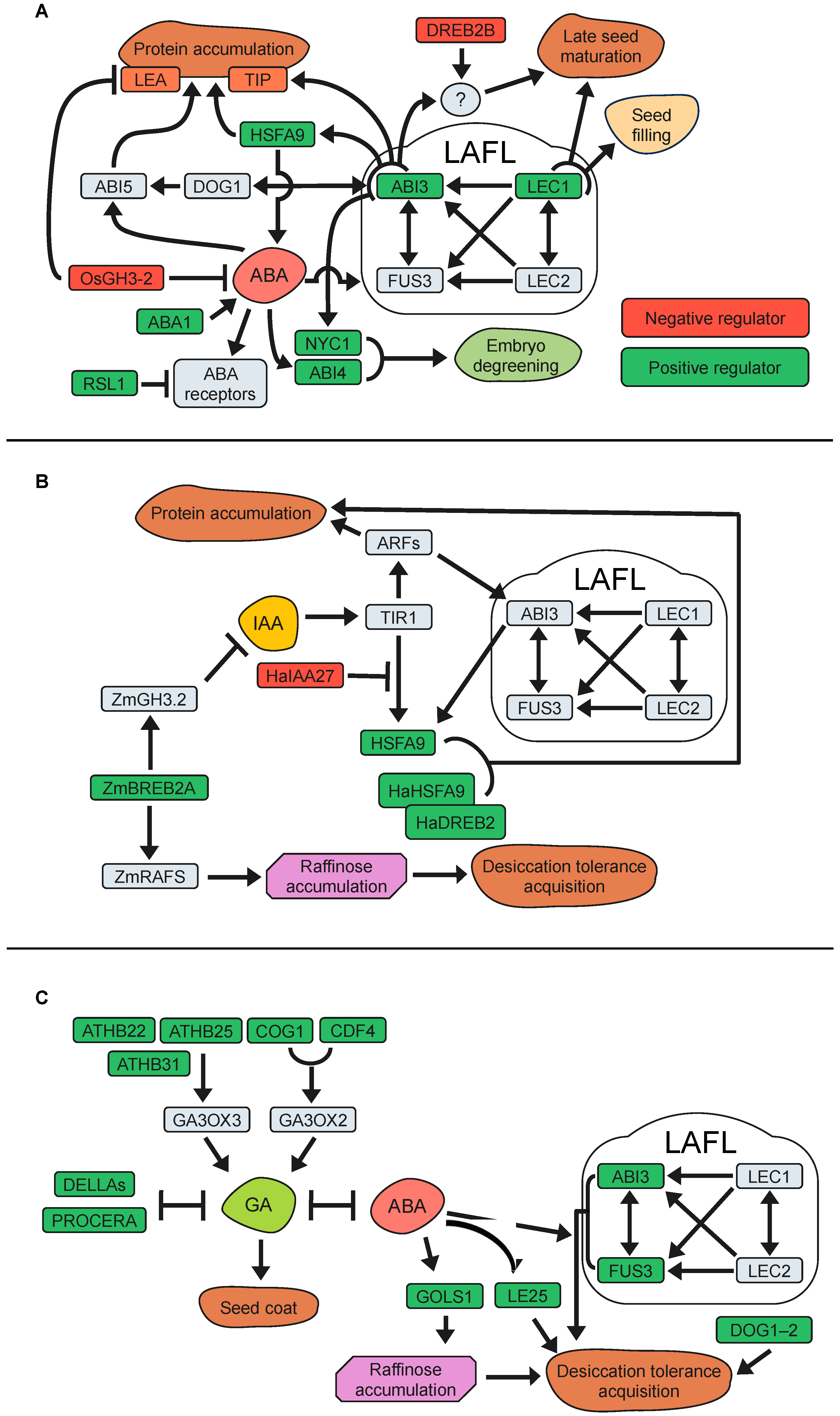 Plants 13 00041 g002