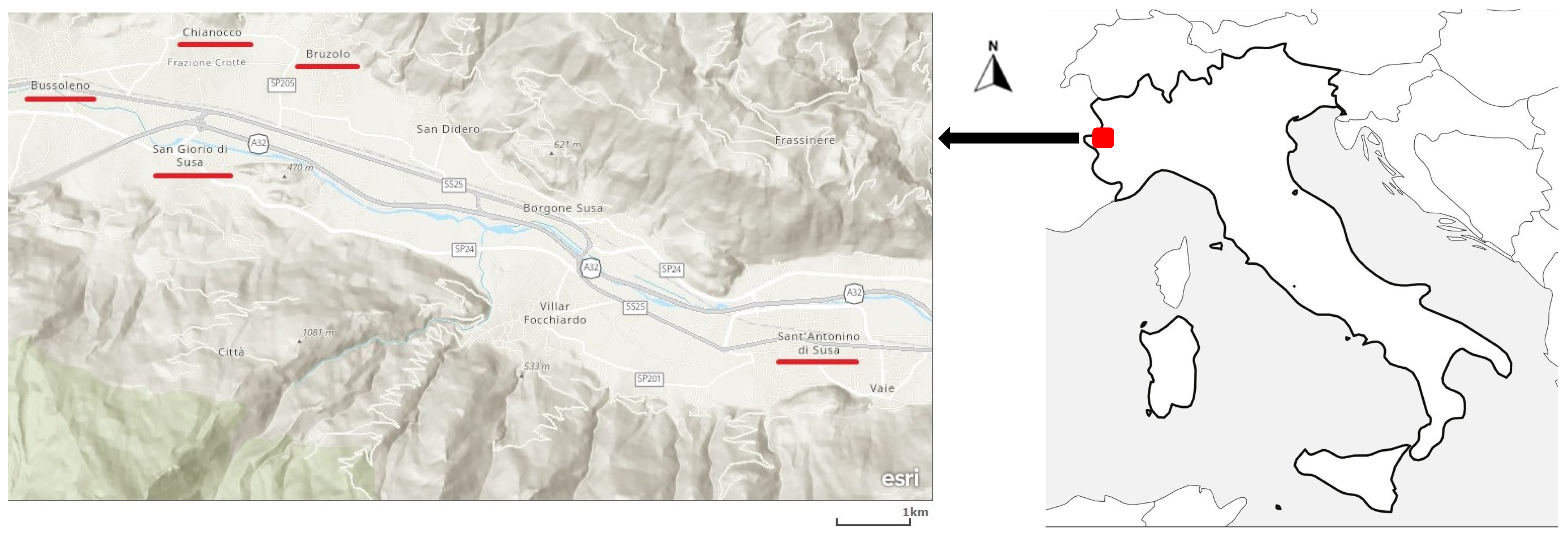 Plants 13 00043 g001