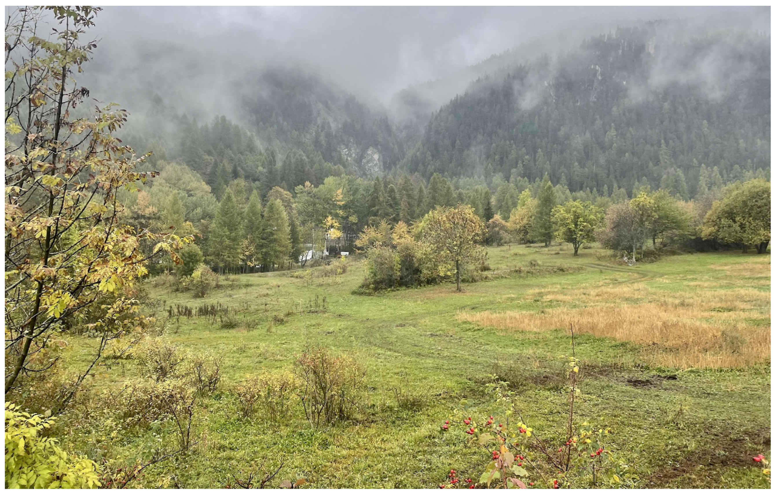 Plants 13 00043 g002